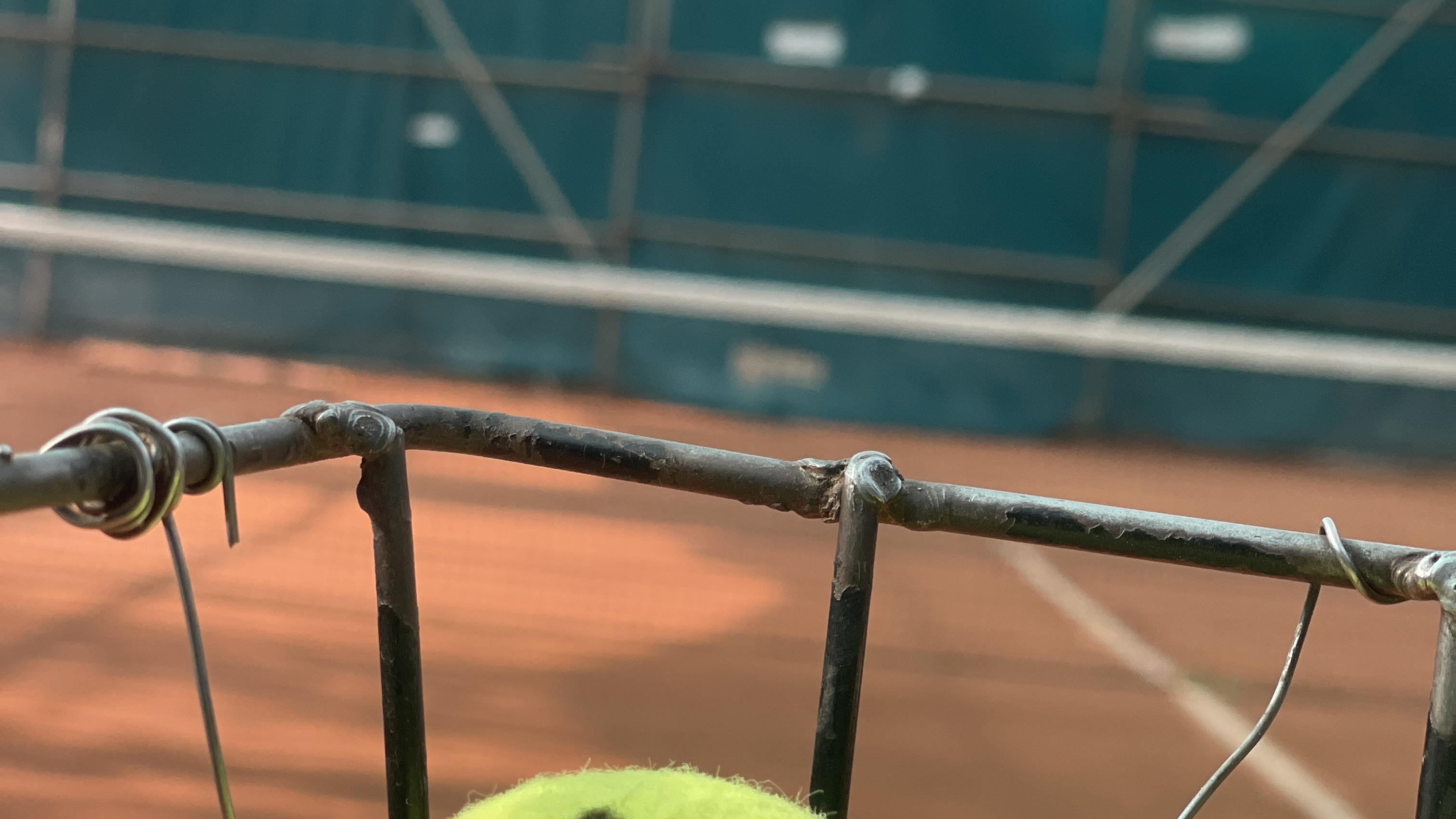 مربی تنیس هانیه اکبری مهر