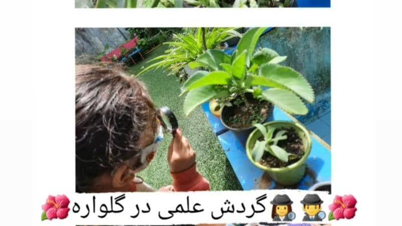 پیش دبستانی و کودکستان گلواره نوین