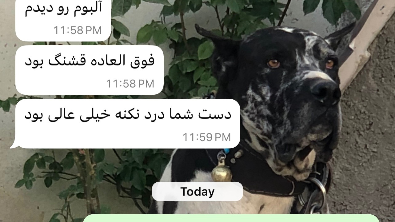 استدیو پرتو (آتلیه،باغ،عمارت،فرمالیته)