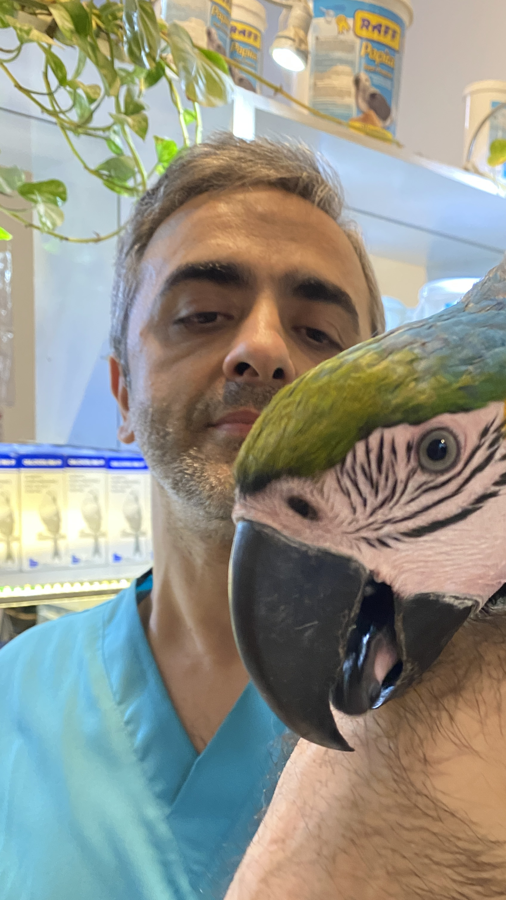 پت شاپ طوطیان سخنگو دکتر صالحی