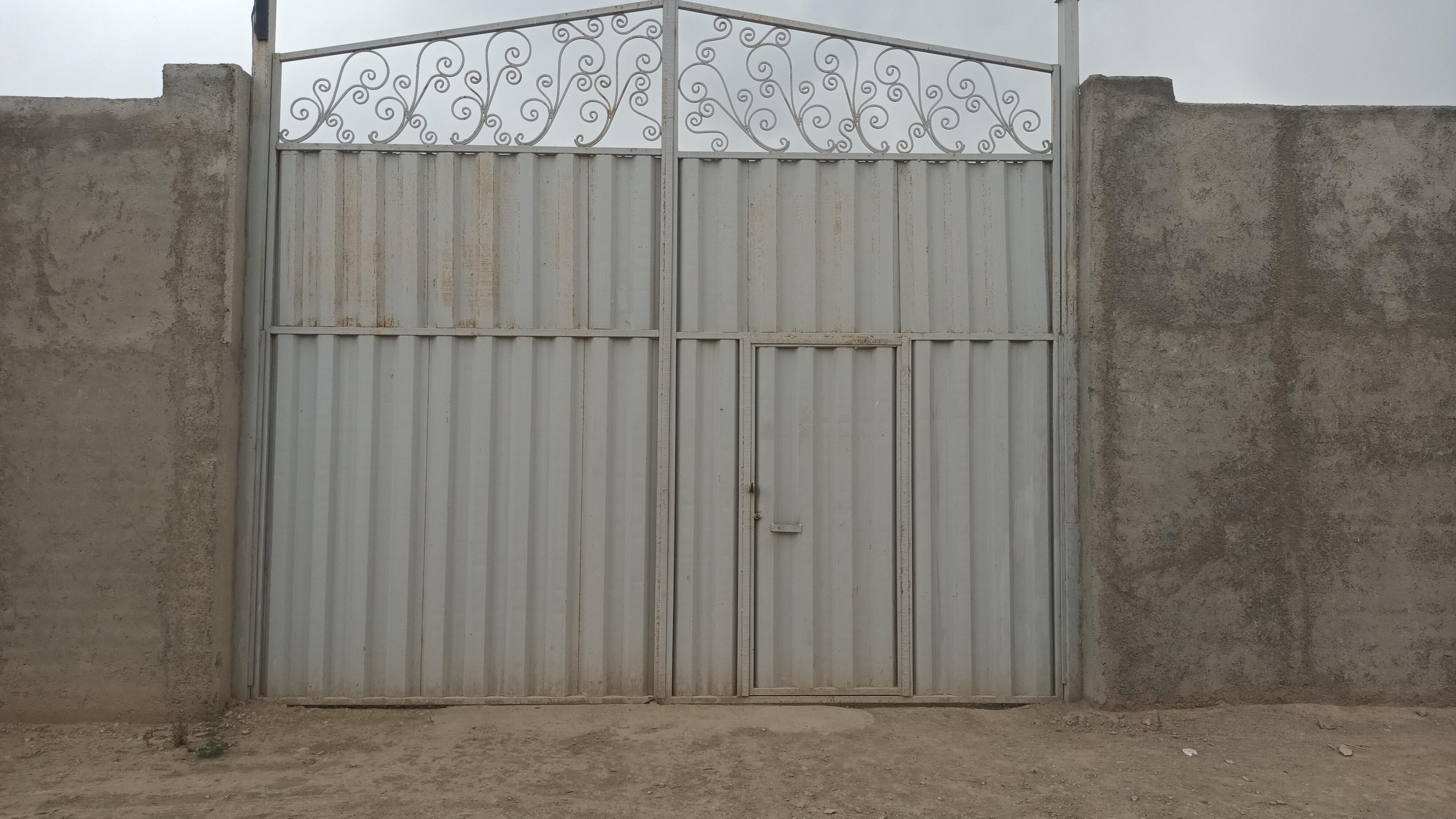 چوب بری محمدیان