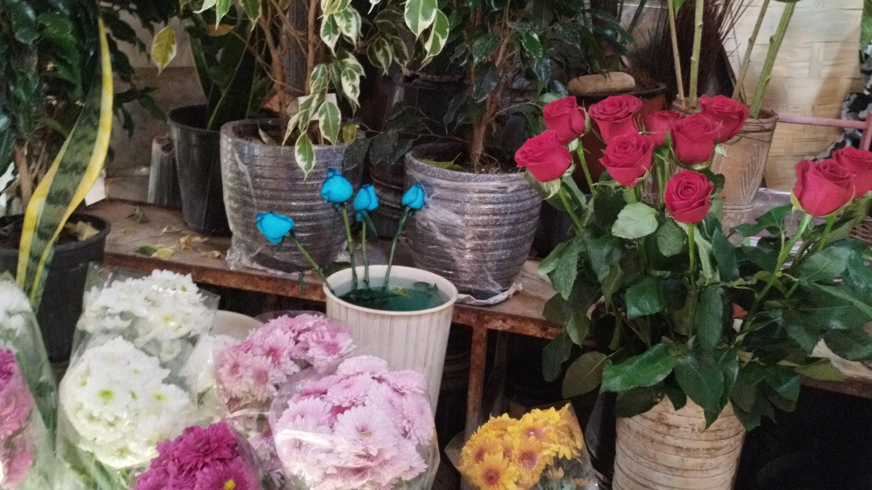 گل فروشی گلستان