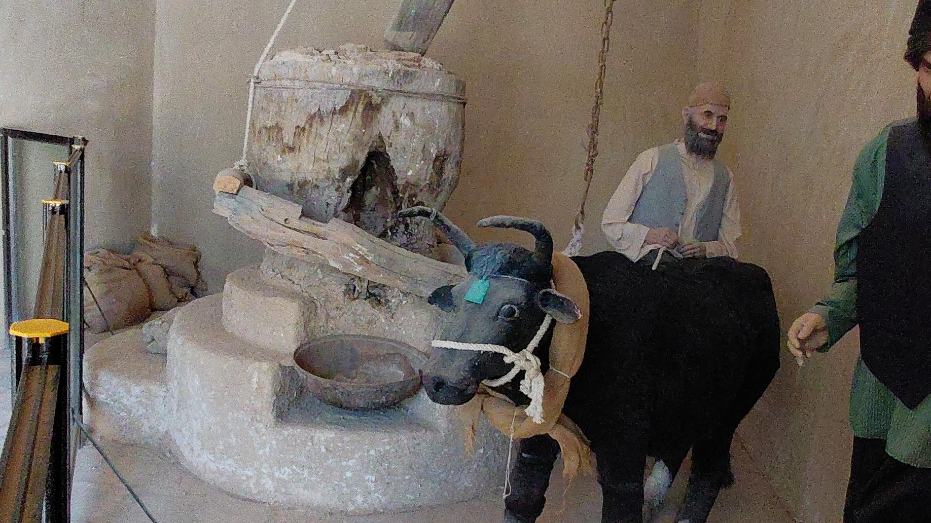 موزه باستان شناسی گناباد