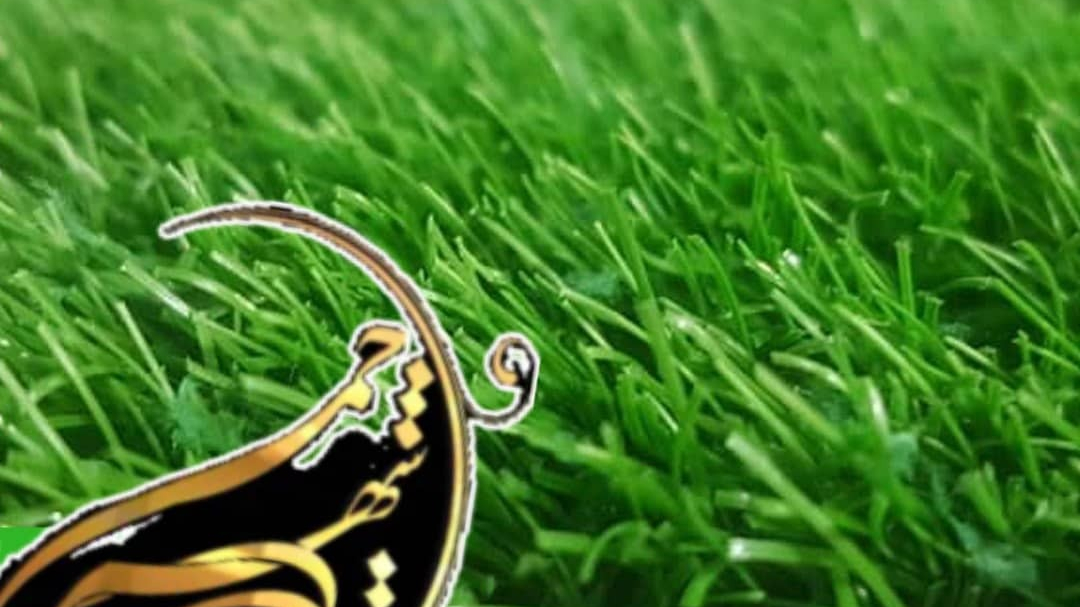 تولیدی  چمن مصنوعی و دیوارسبز اینترنتی