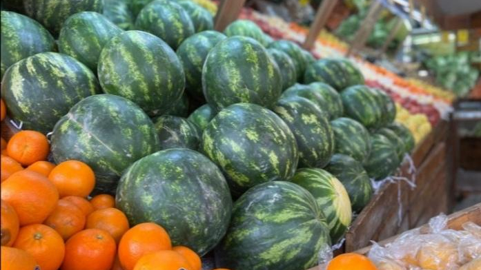 سوپر میوه صابری