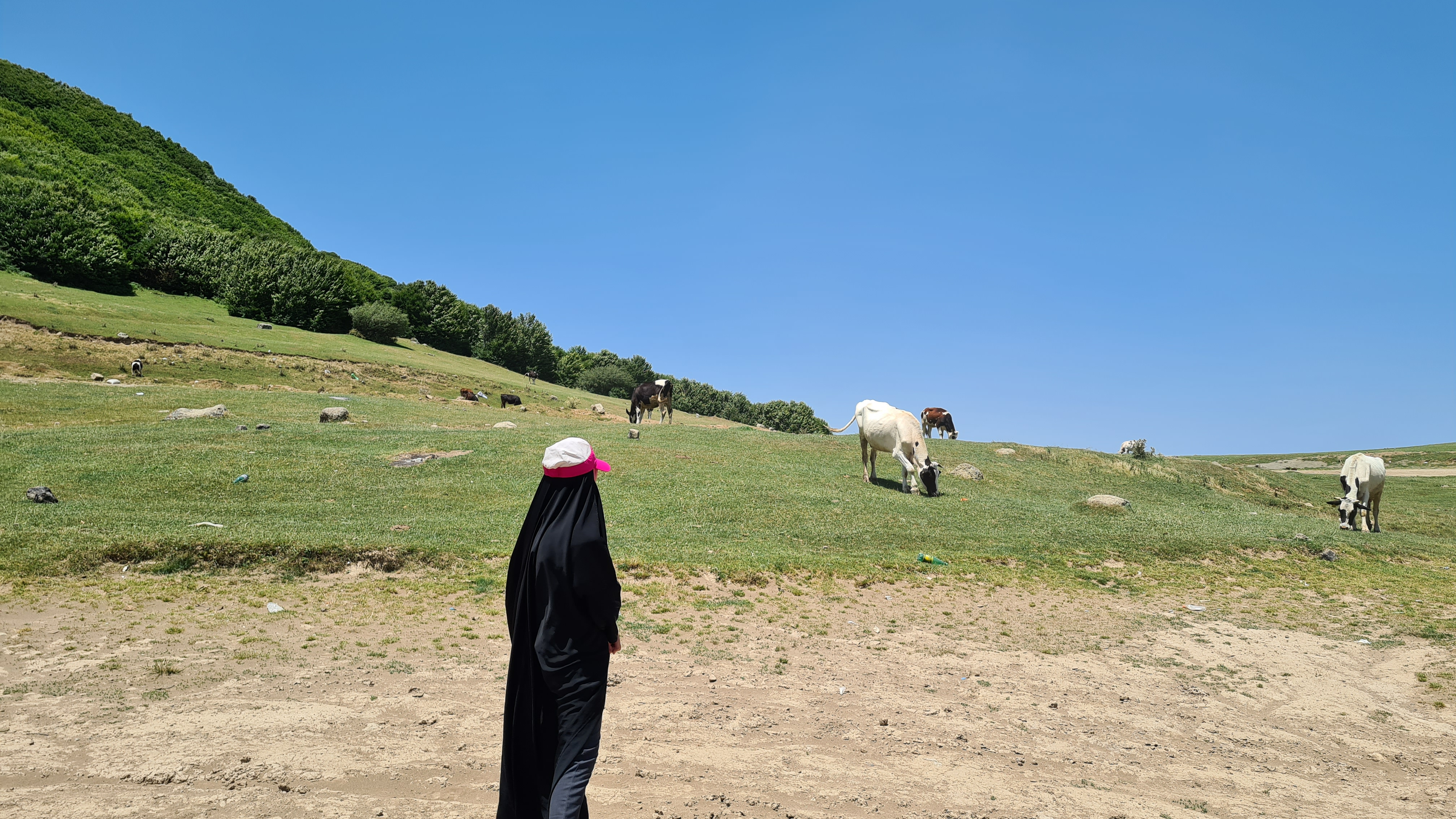 دریاچه سوها