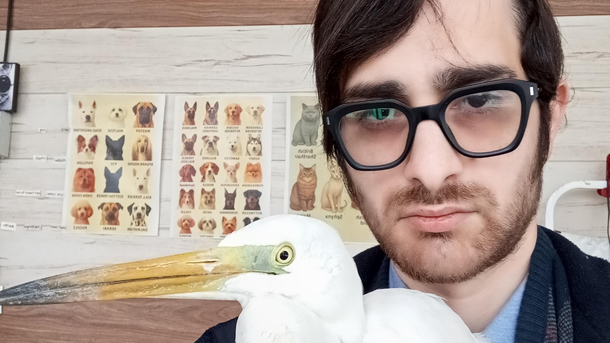 مطب دامپزشکی آفریقا