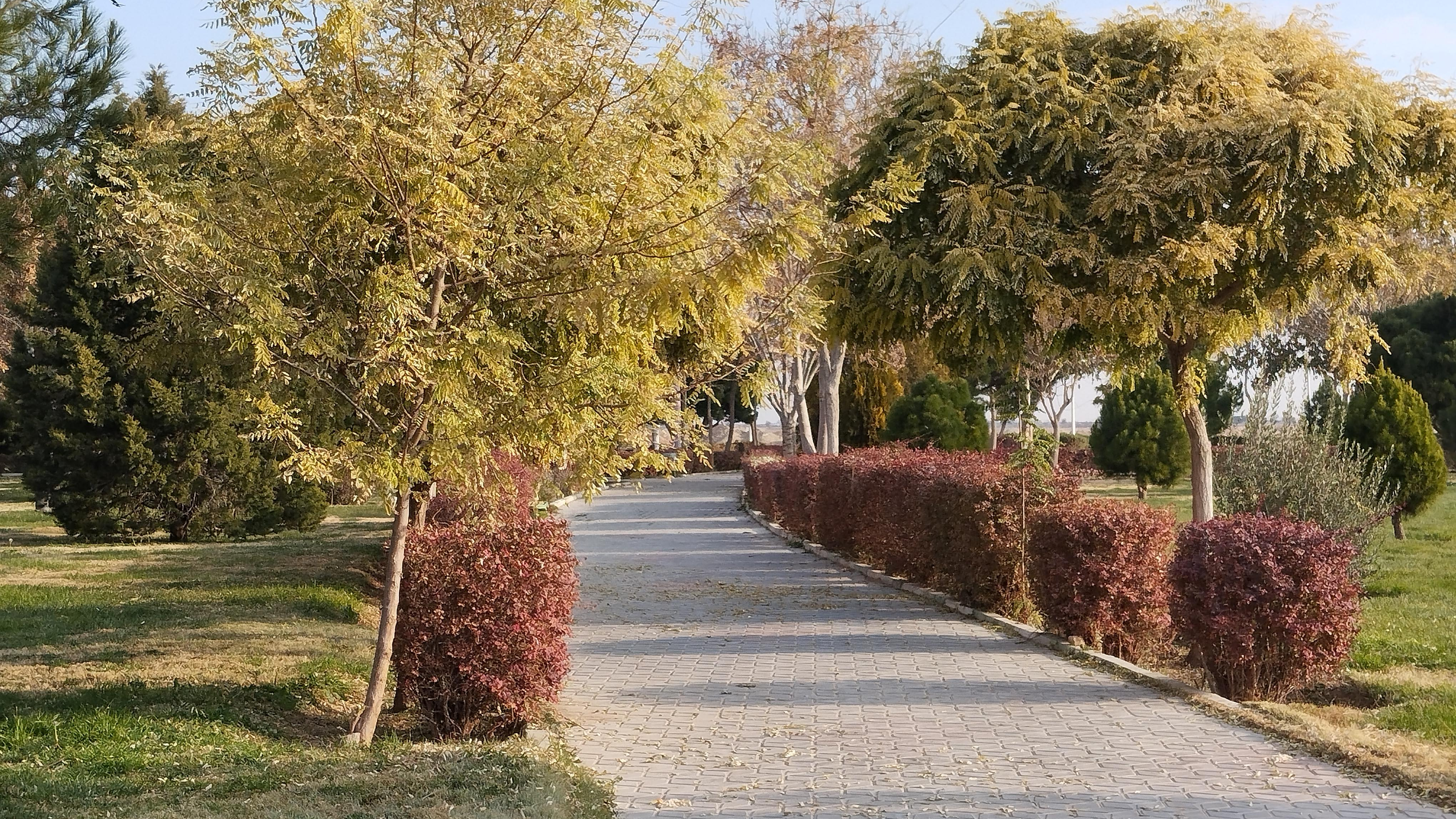 پارک بانک استان