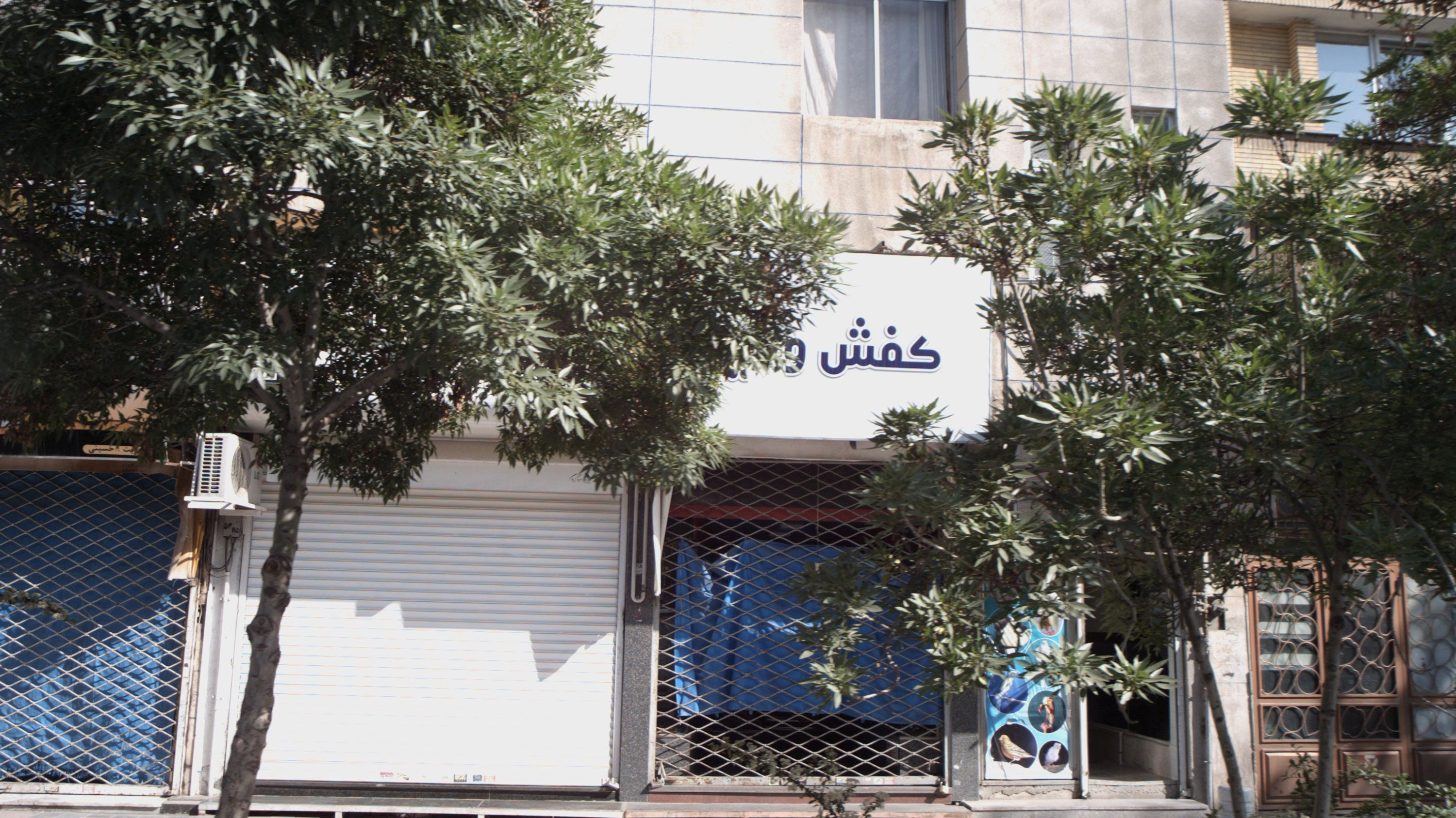 کفش وحید
