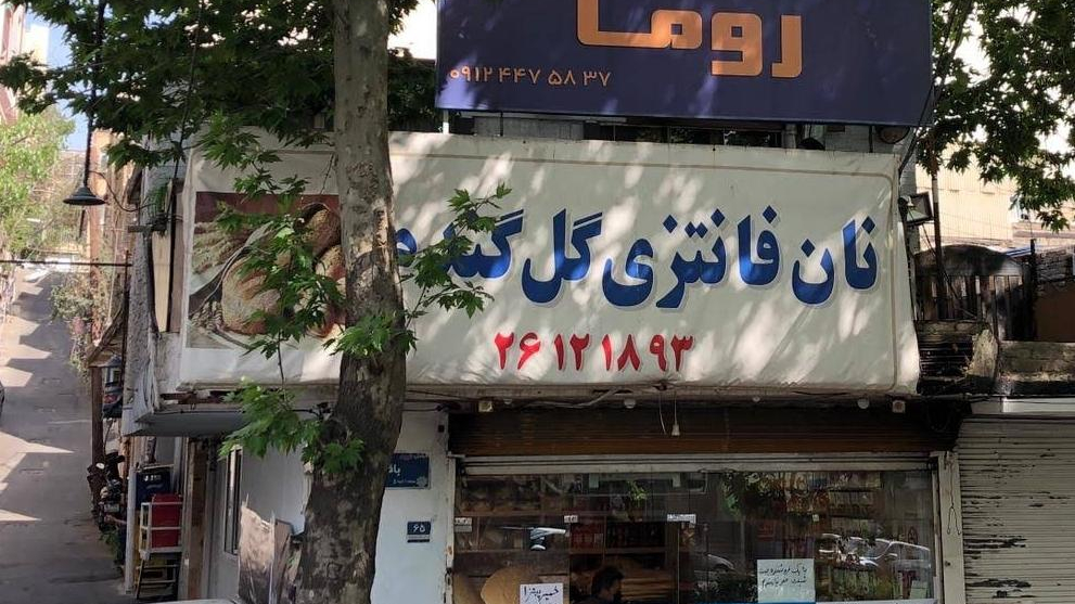 کلینیک دامپزشکی روما