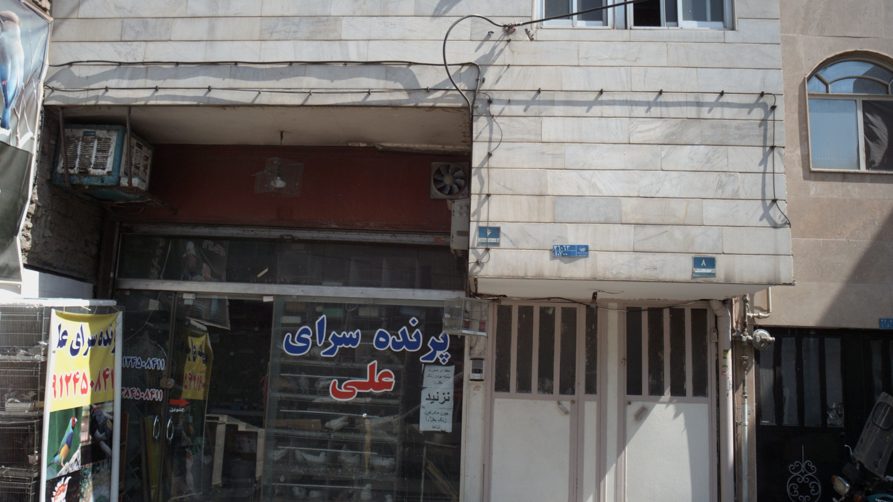 پرنده سرای علی