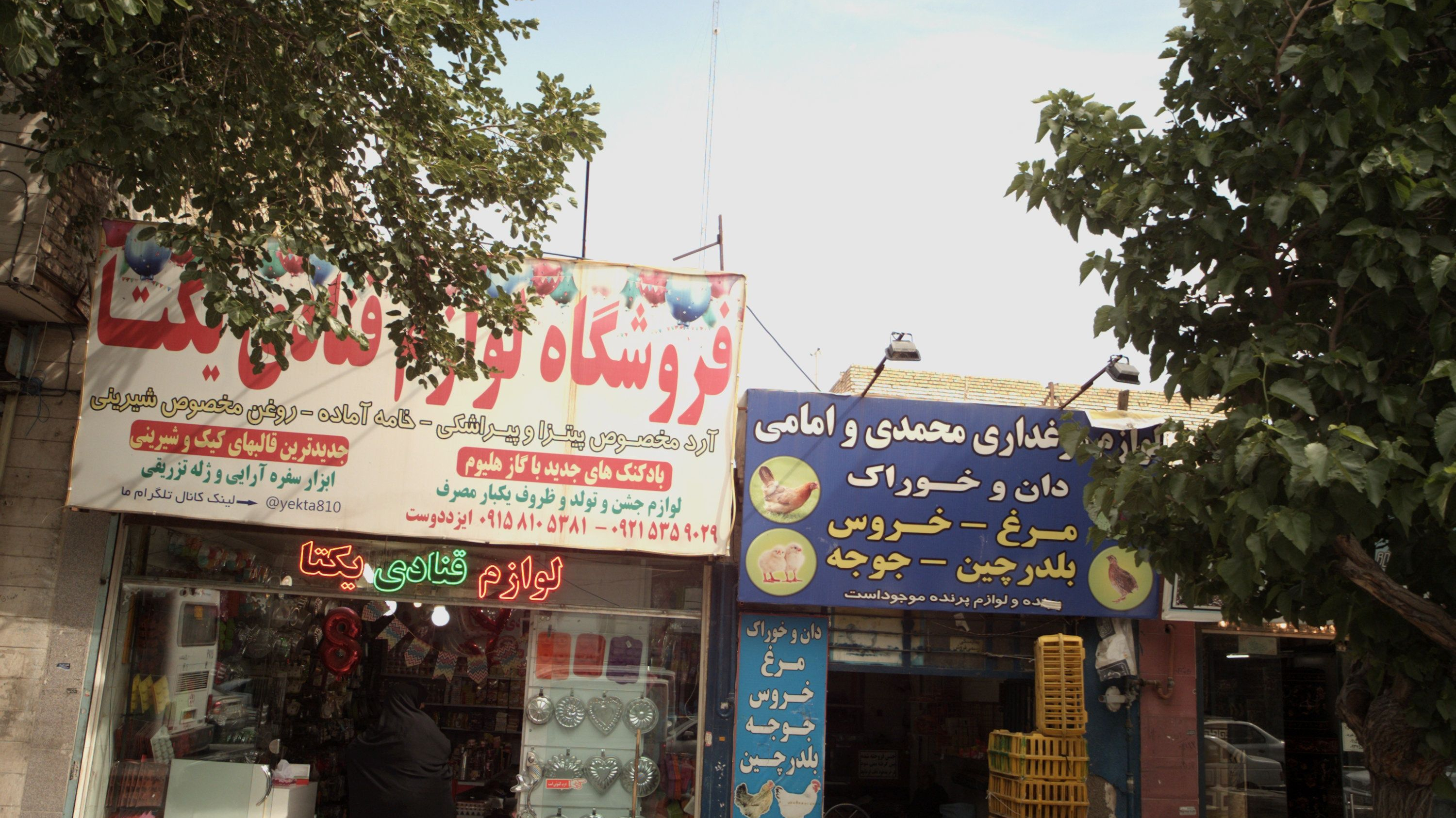 لوازم مرغداری محمدی و امامی