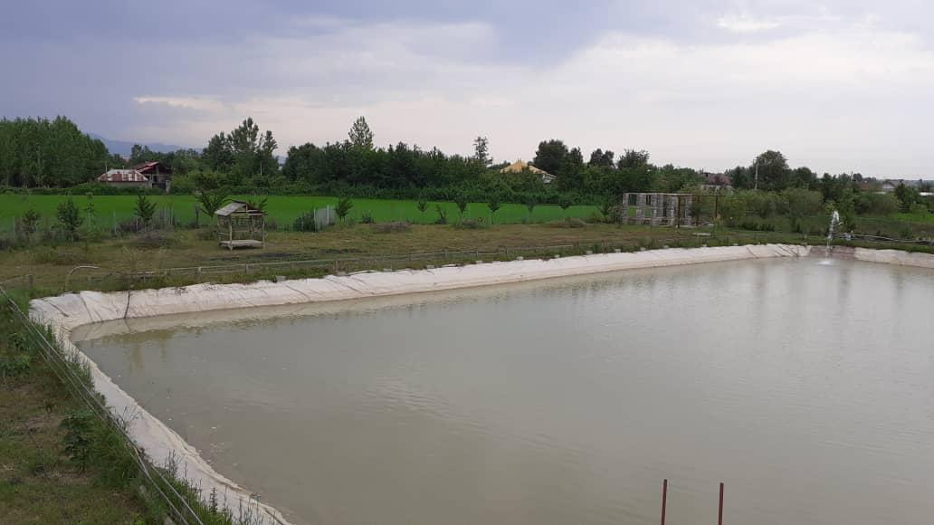 استخر پرورش ماهیان گرمابی