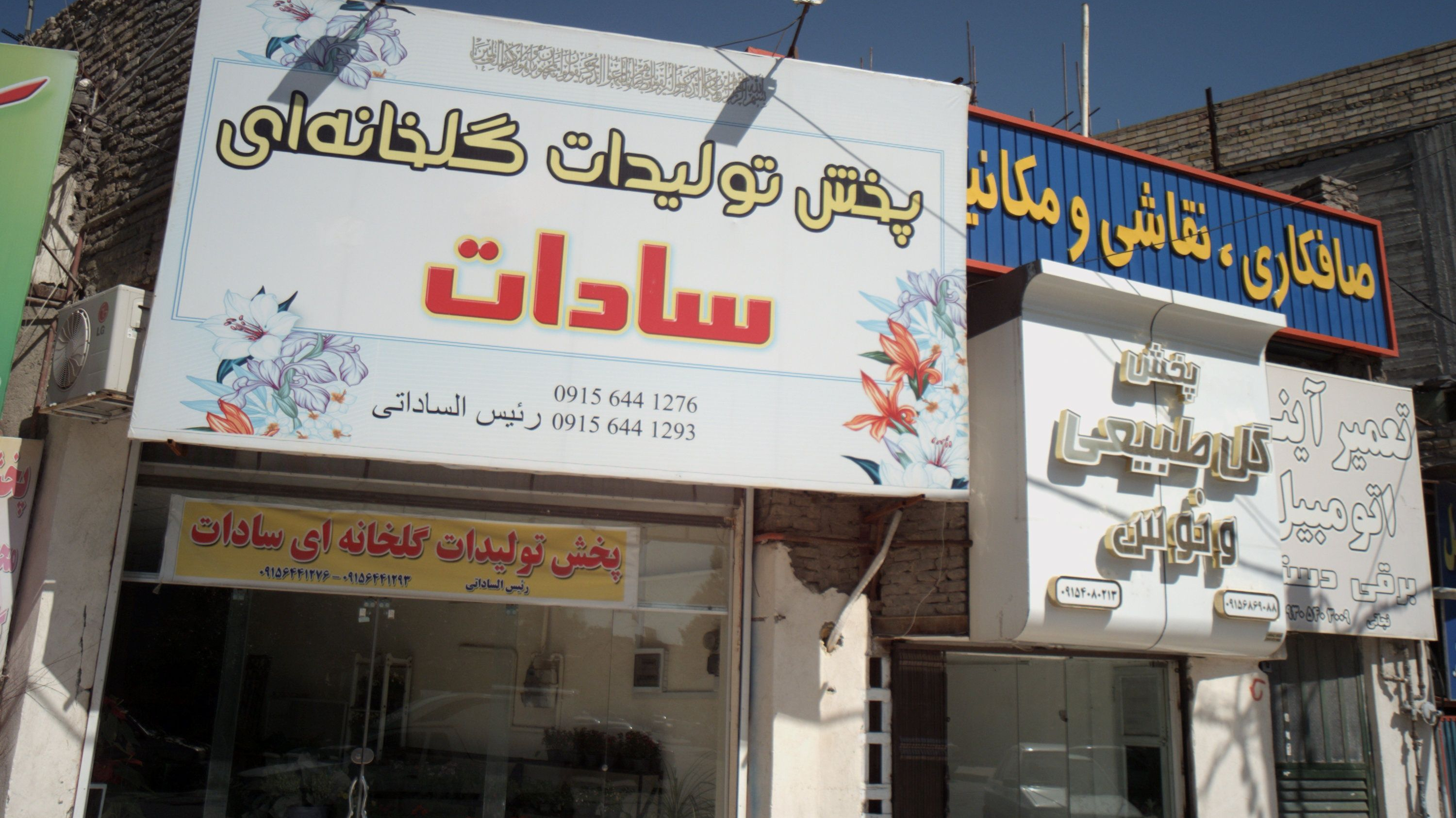 پخش تولیدات گلخانه ای سادات