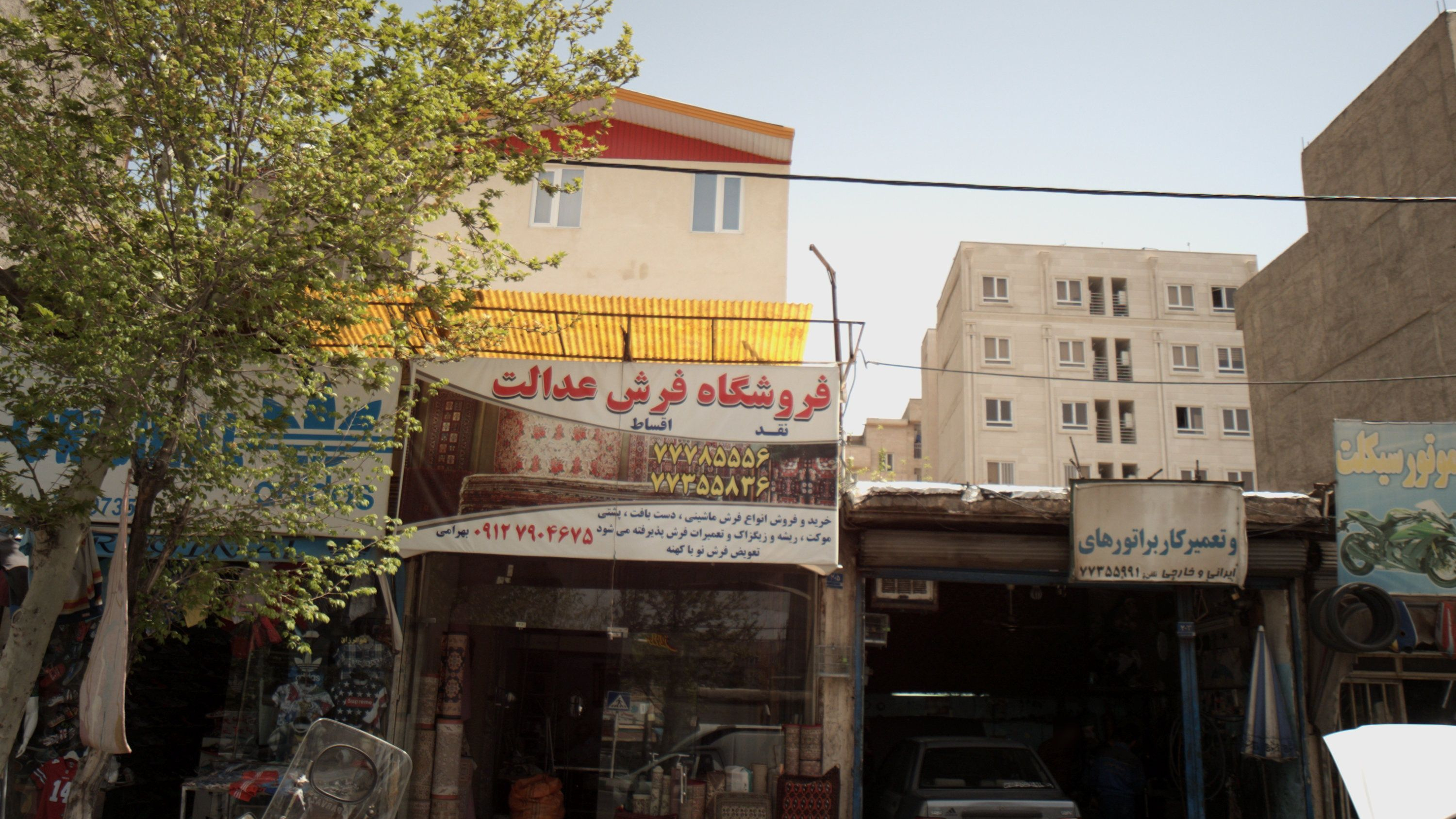 فروشگاه فرش عدالت