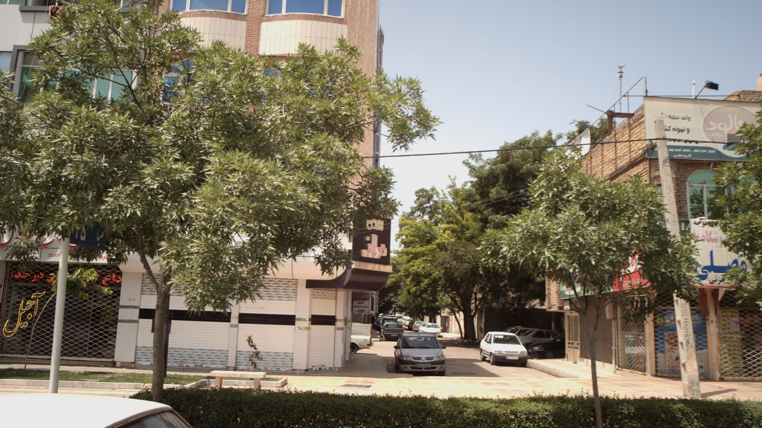 آجیل عادل