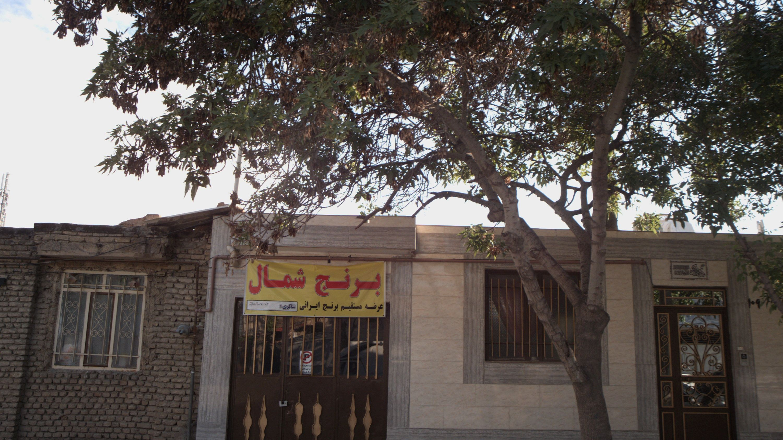 برنج شمال