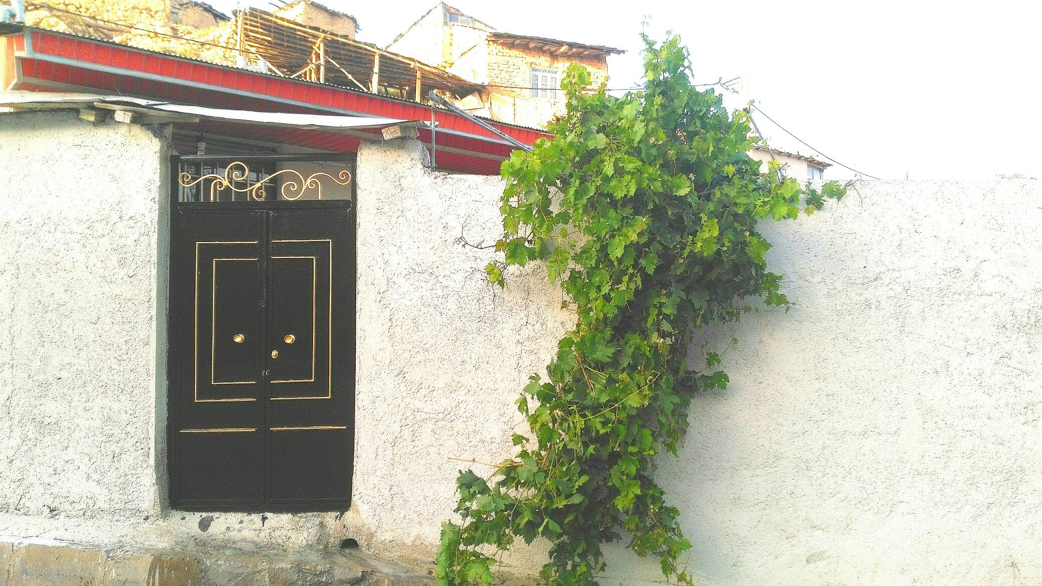سوئیت ویلا دربستی