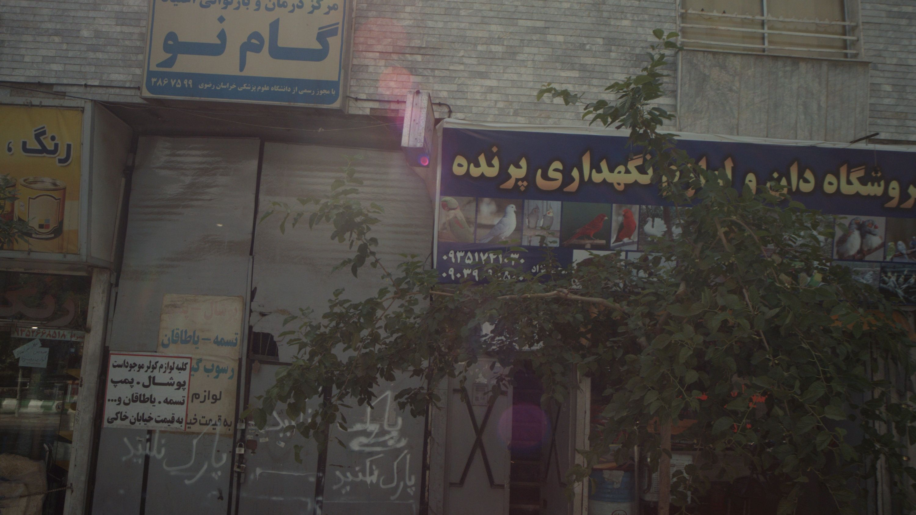 گام نو