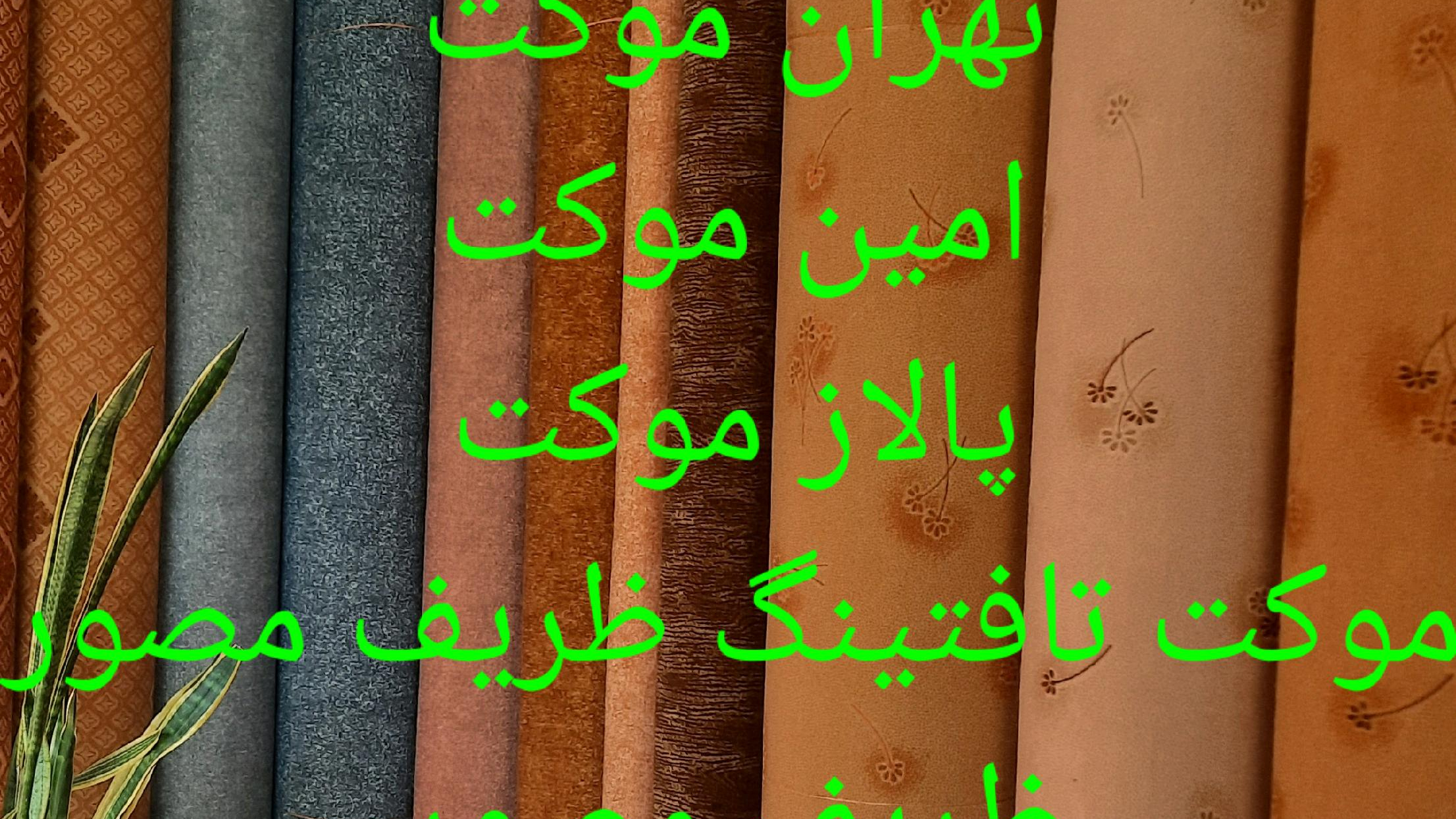 شهر موکت رضا