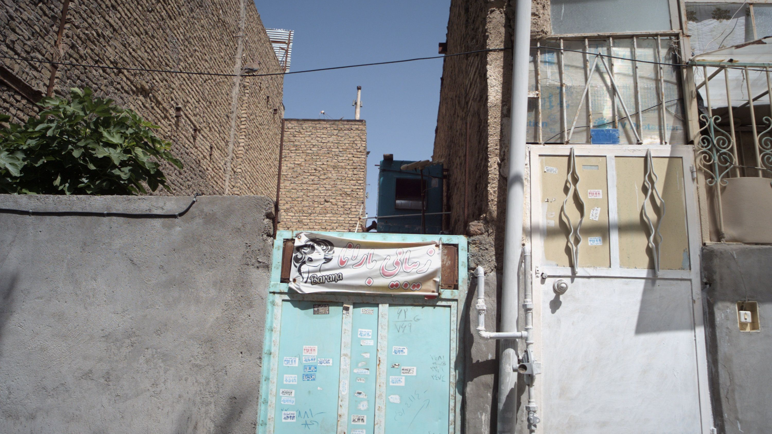 زیبایی بارانا