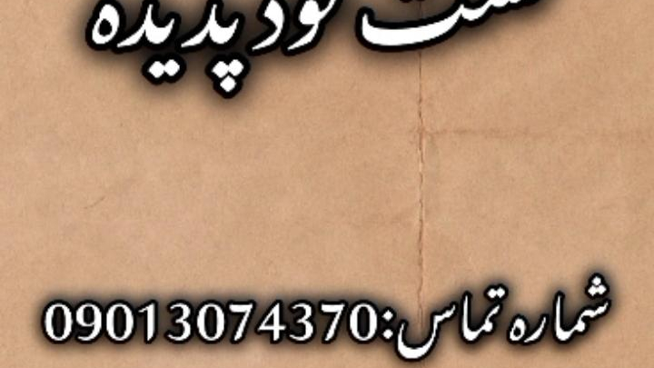 فست فود پدیده