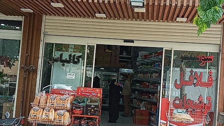 پروتئین یلدا