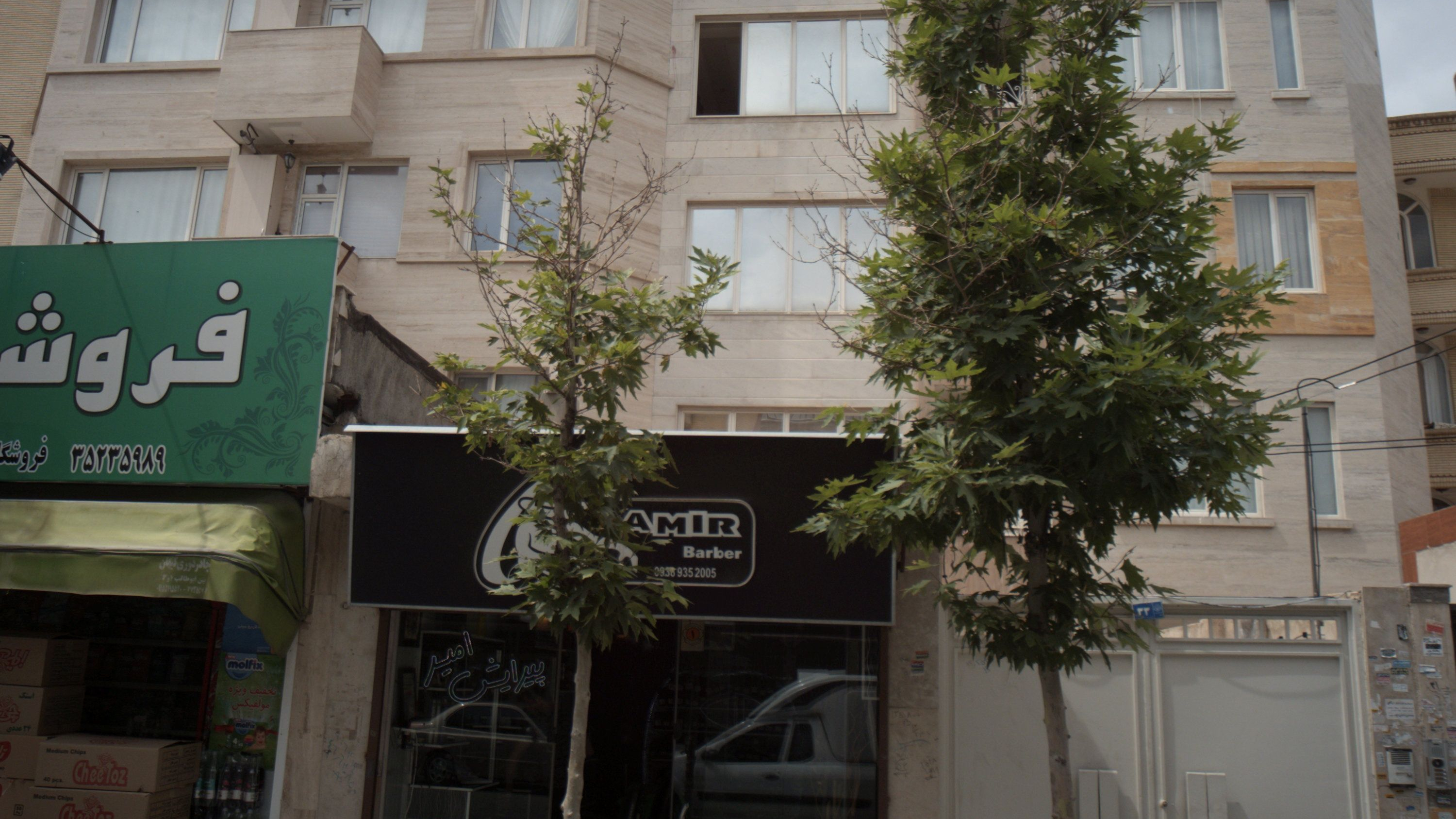 پیرایش امیر