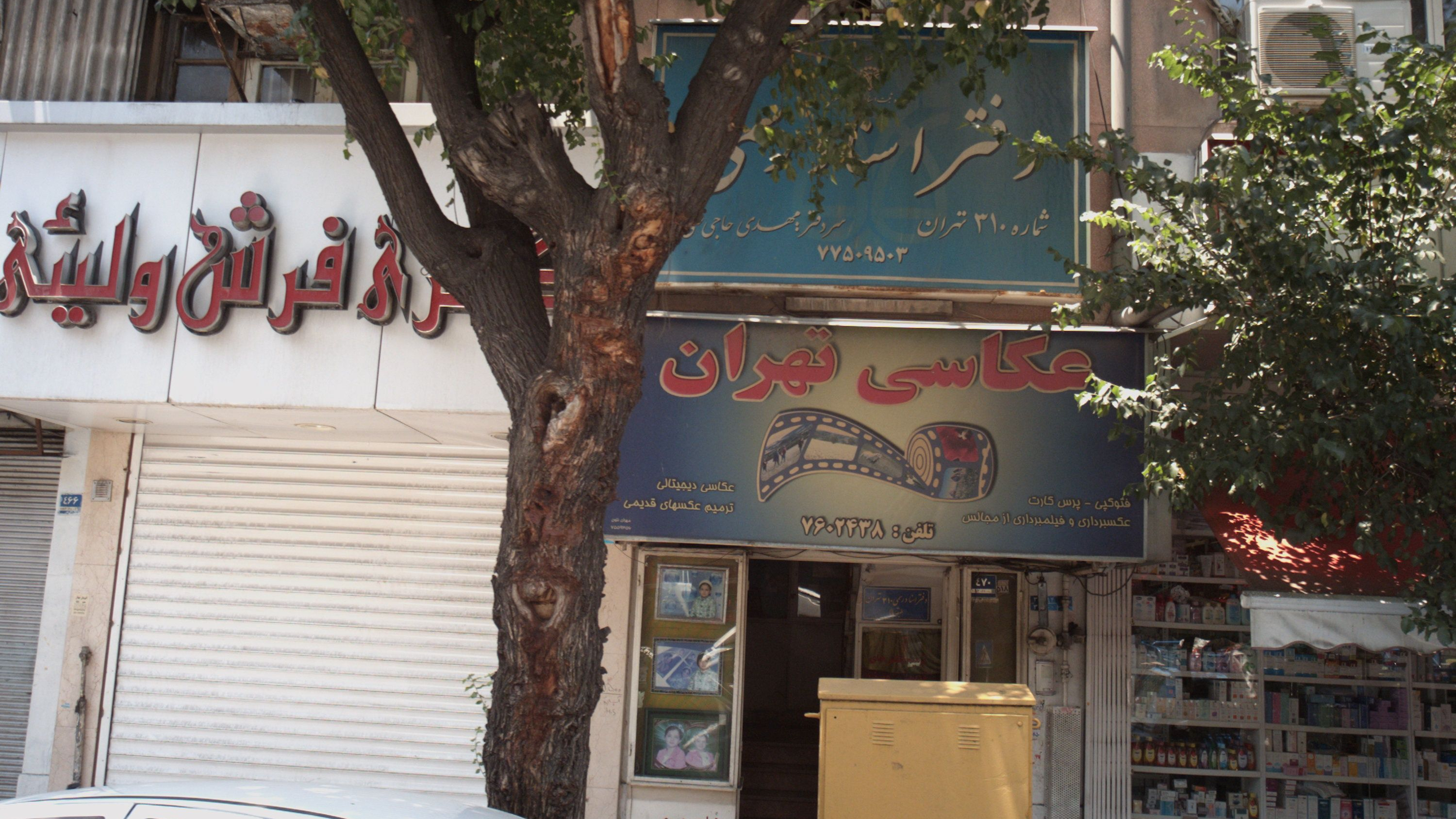 گالری فرش ولیئی