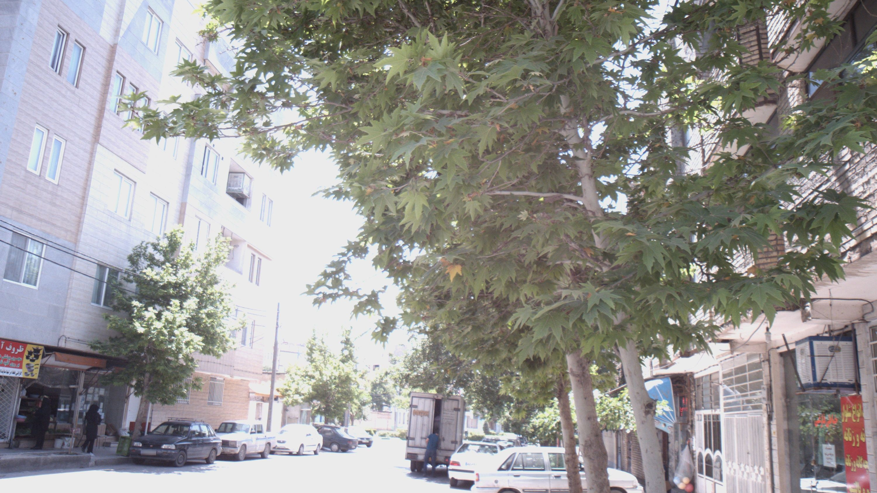 سبزی فروشی