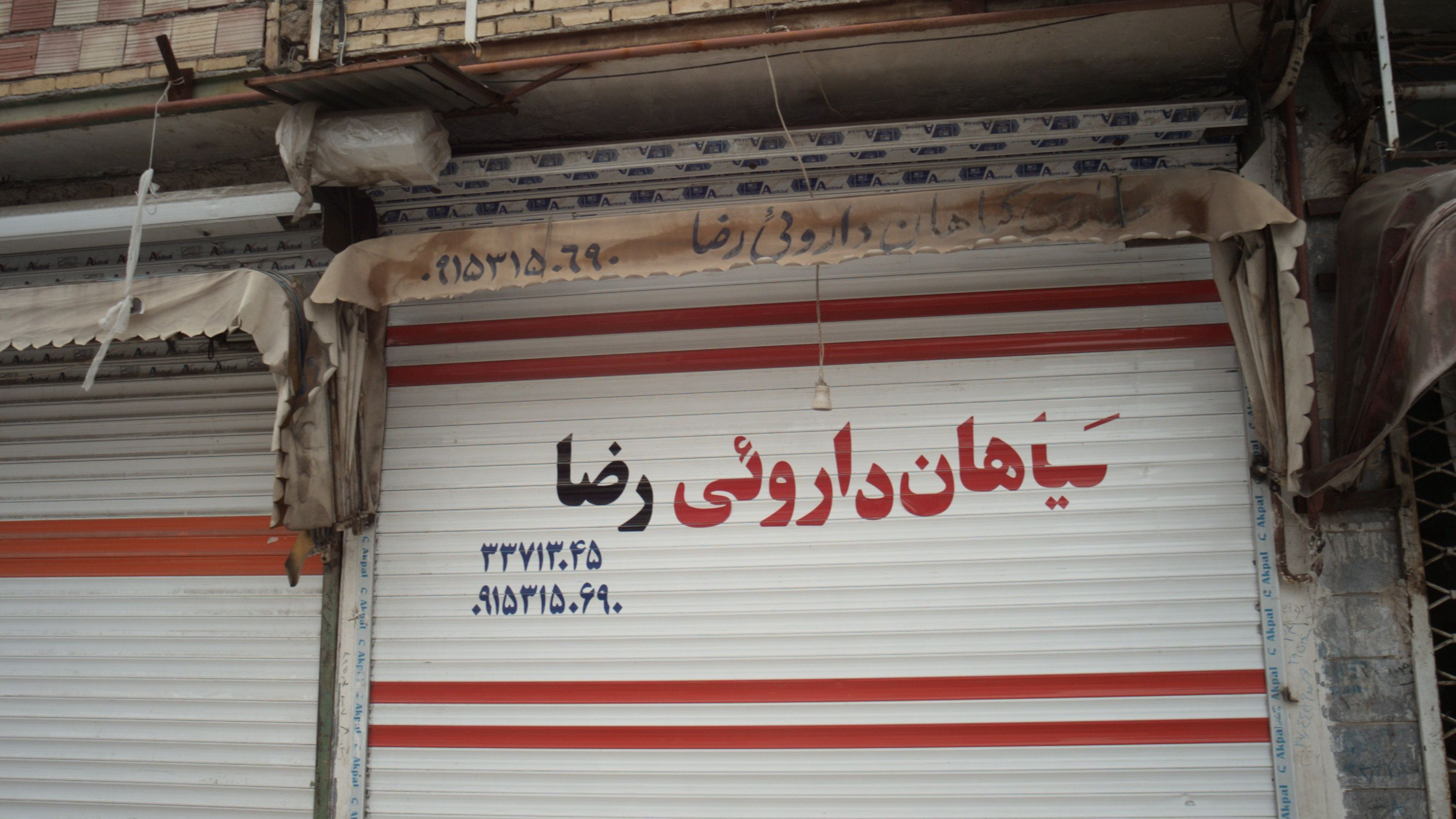 گیاهان دارویی رضا