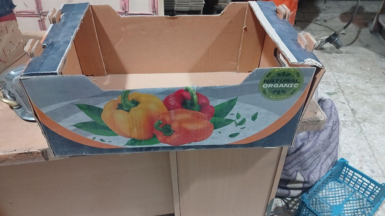 کارتن سازی زاگرس