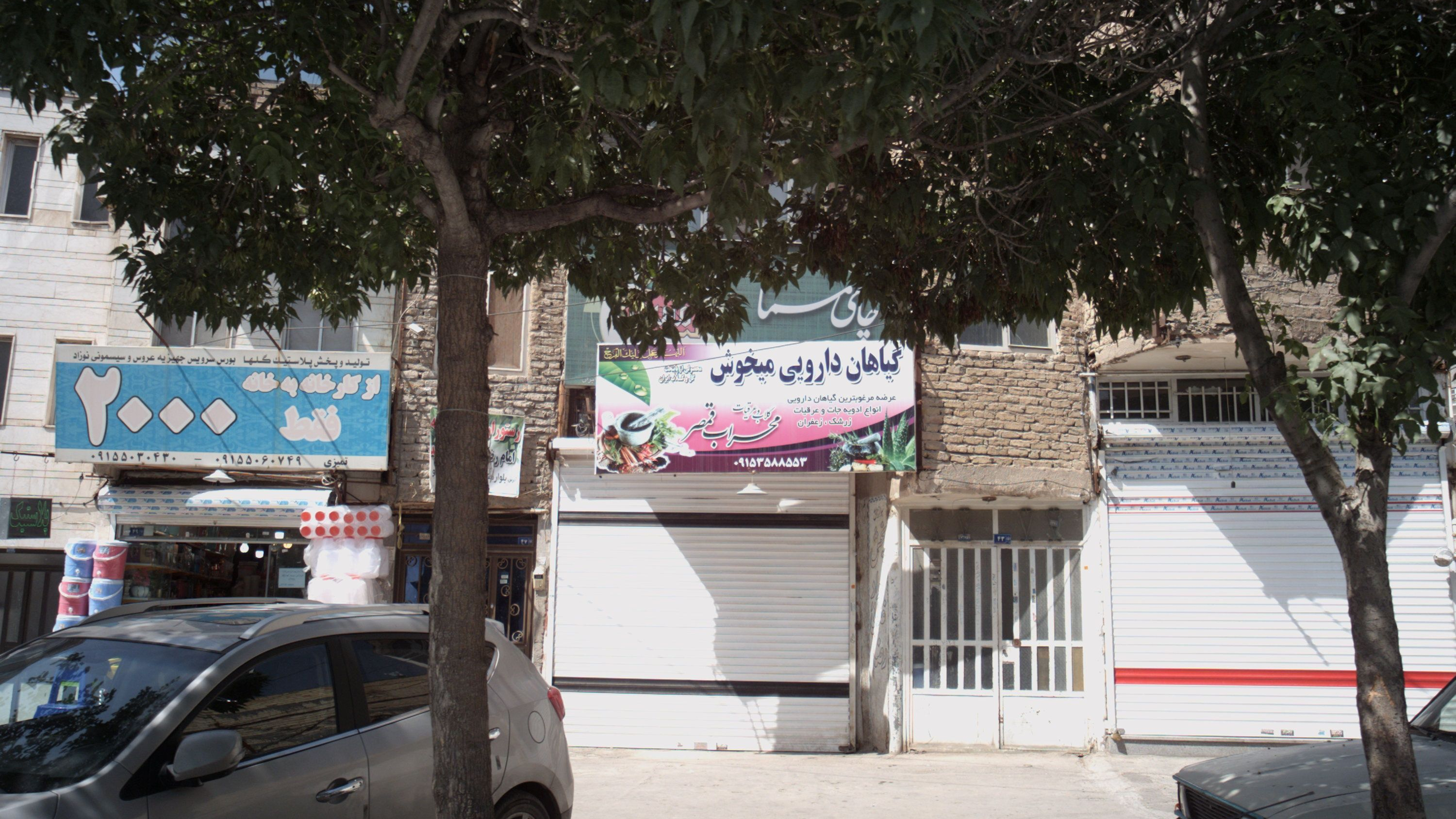 گیاهان دارویی میخوش