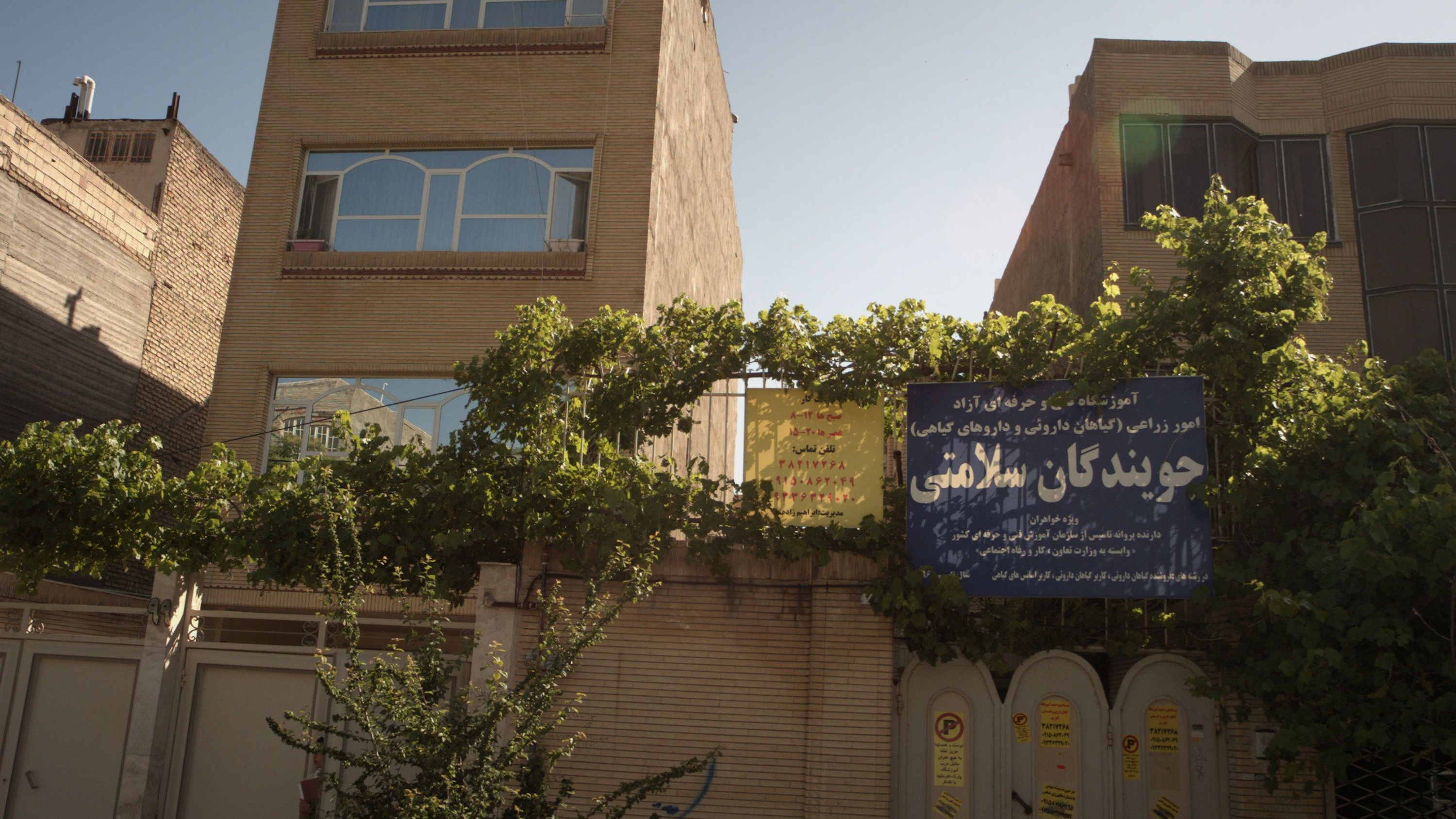جویندگان سلامتی