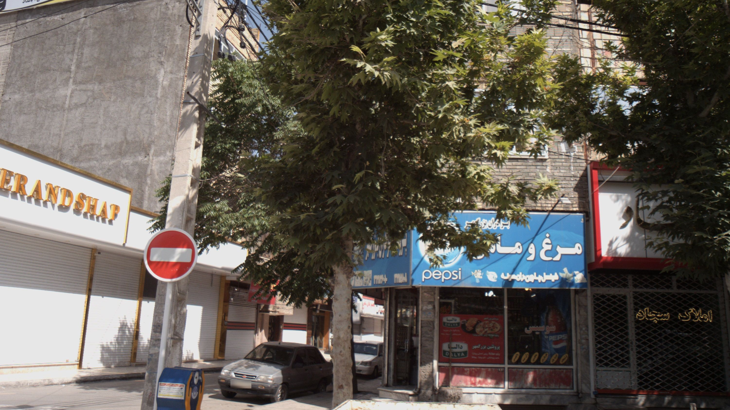 پروتئینی برادران بزرگمهر
