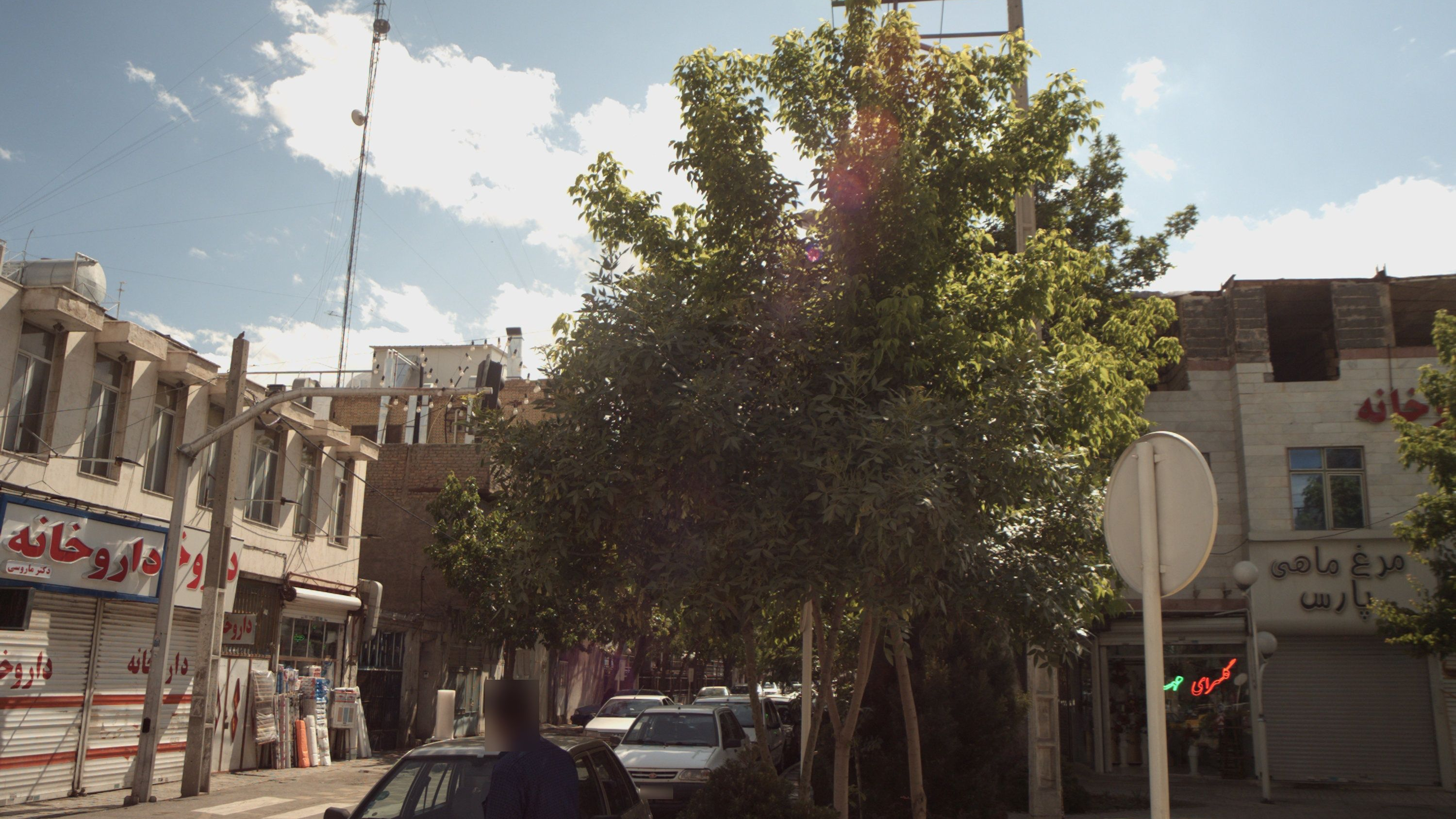 مرغ و ماهی پارس