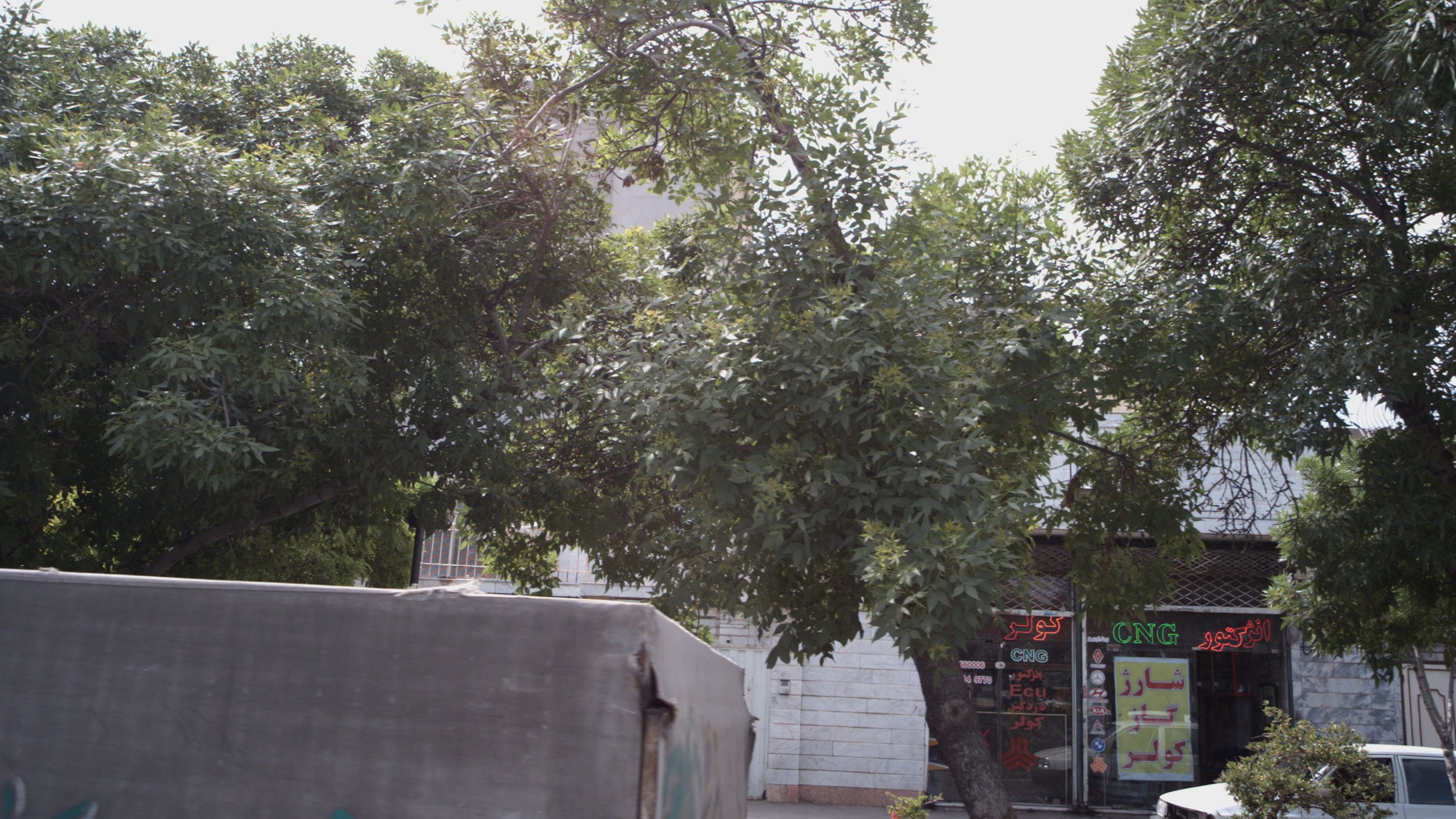 خدمات خودرو کرمانی