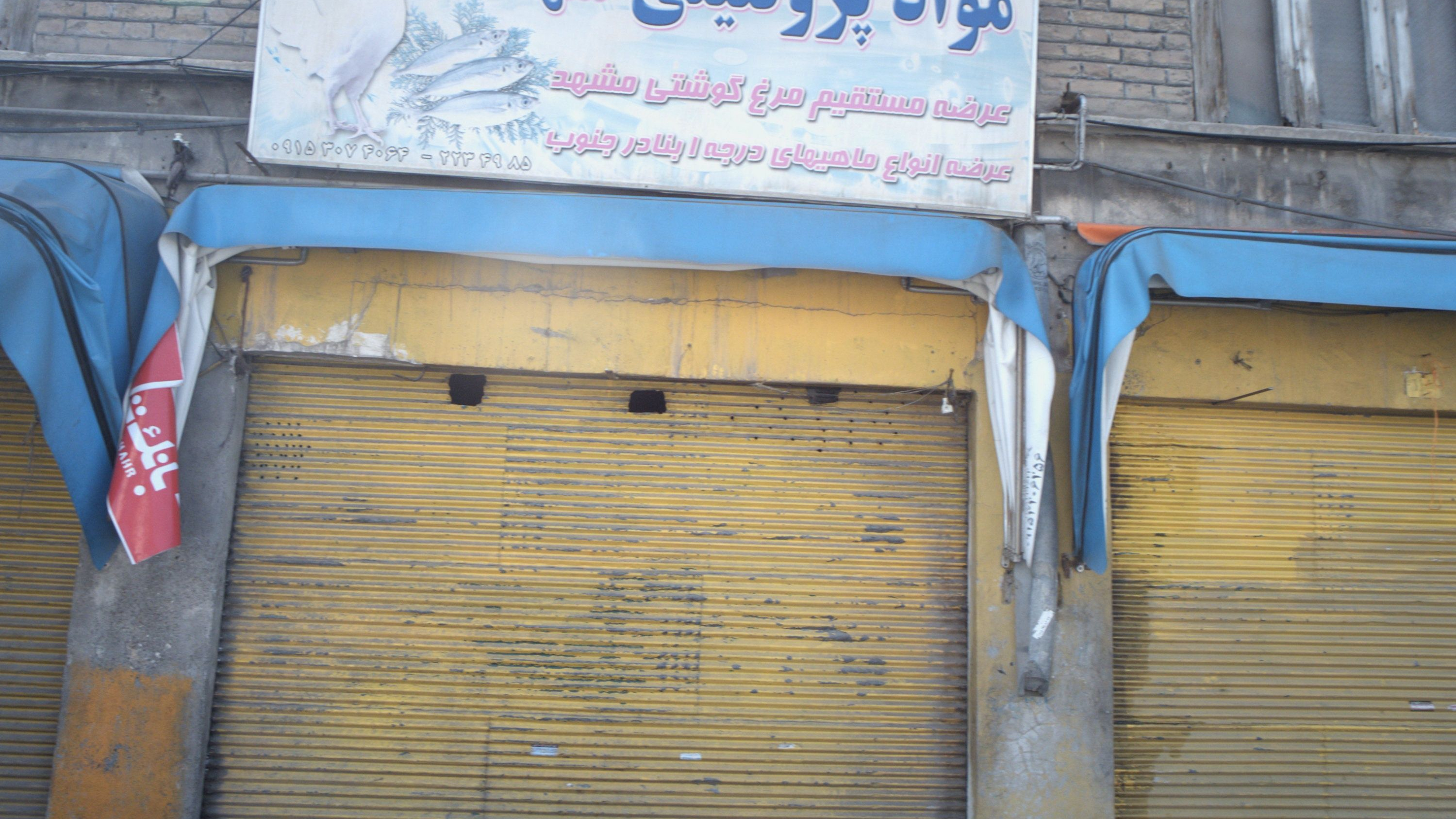 مواد پروتئینی شهدا