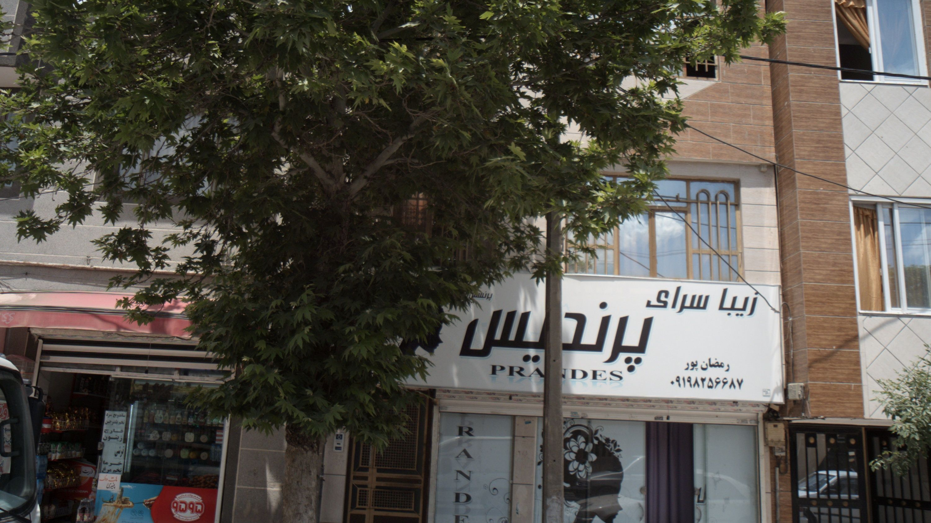 پروتئین ثمین