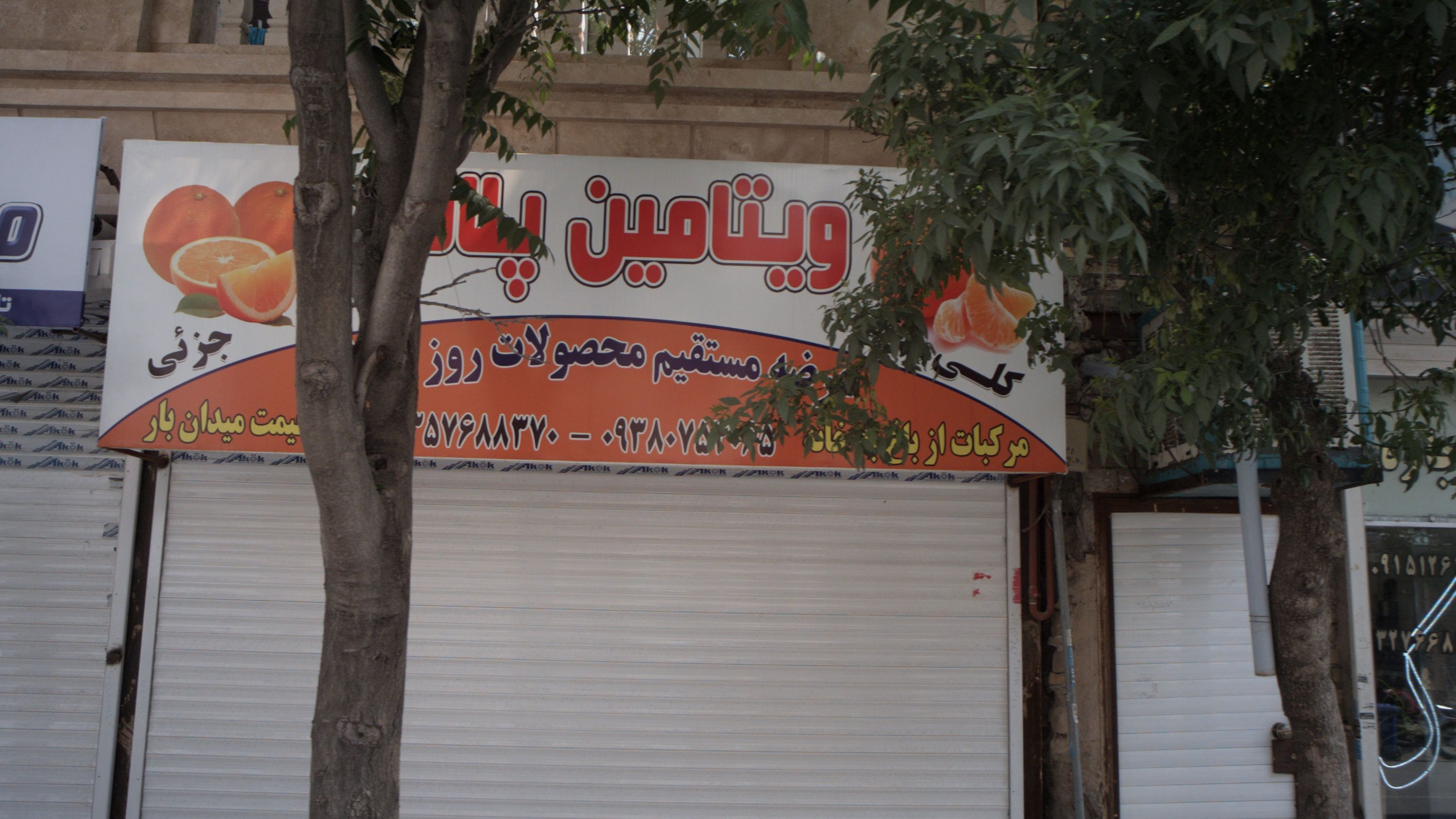 میوه فروشی ویتامین پلاست