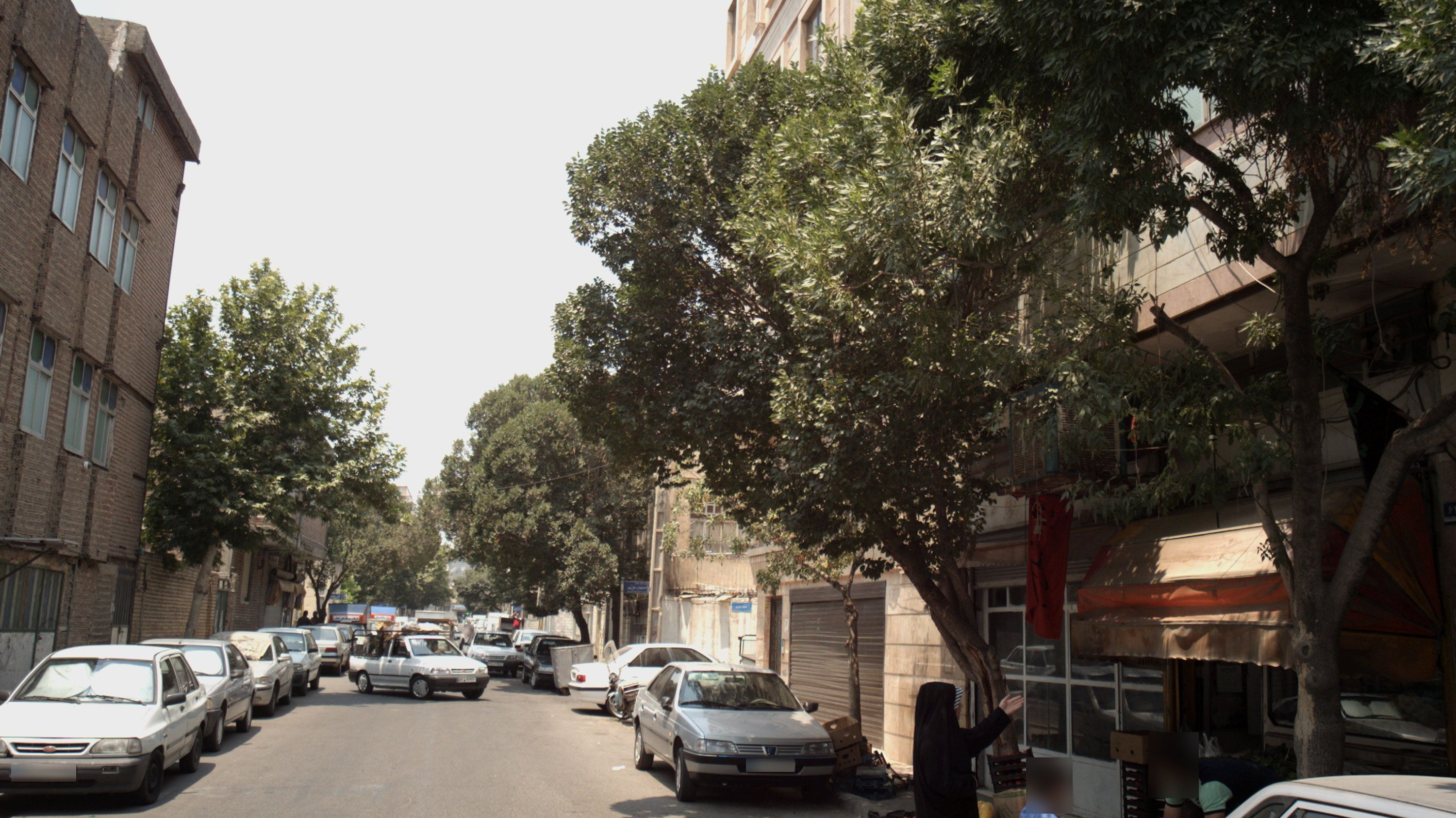 میوه فروشی