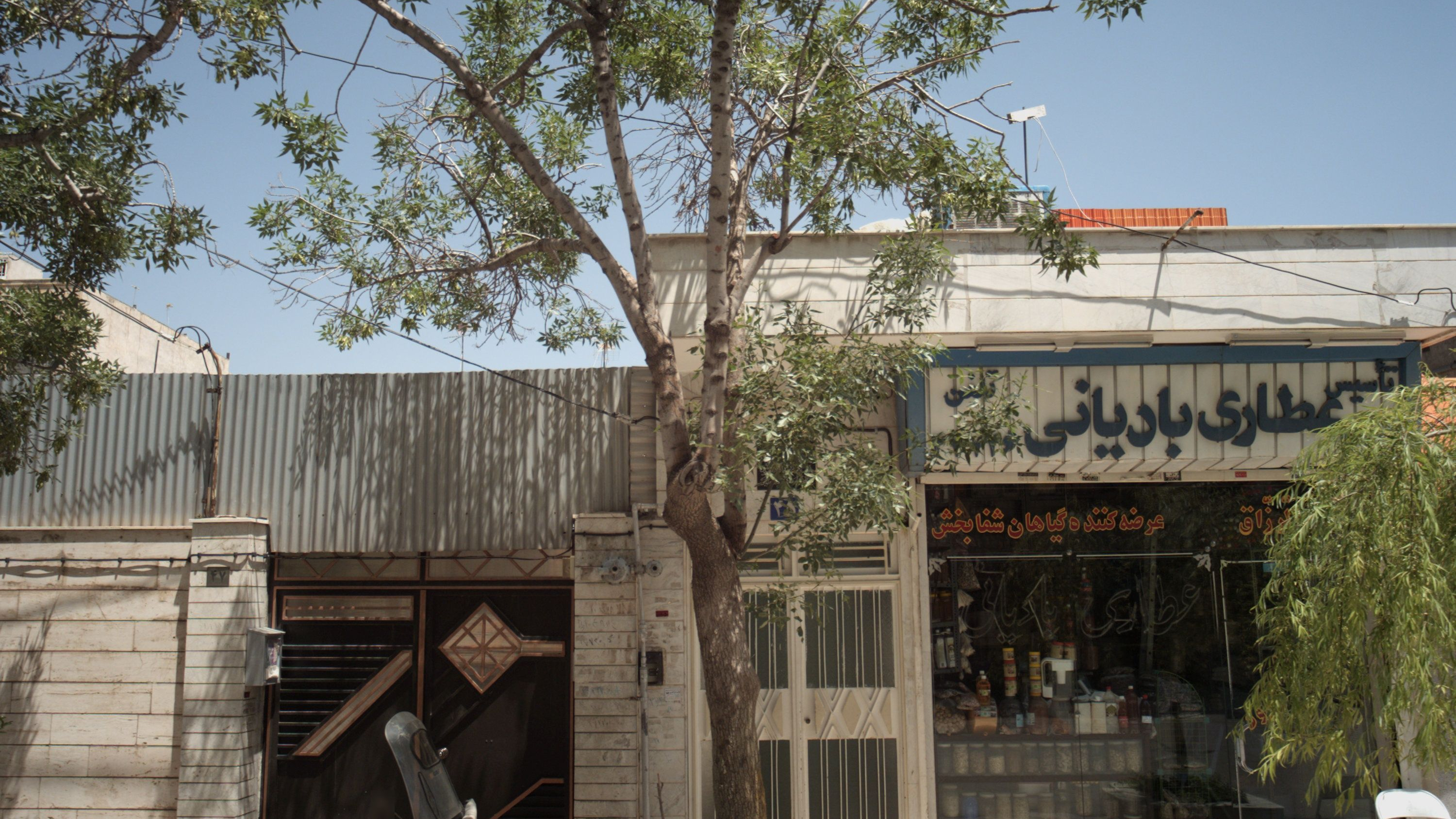 عطاری بادیانی