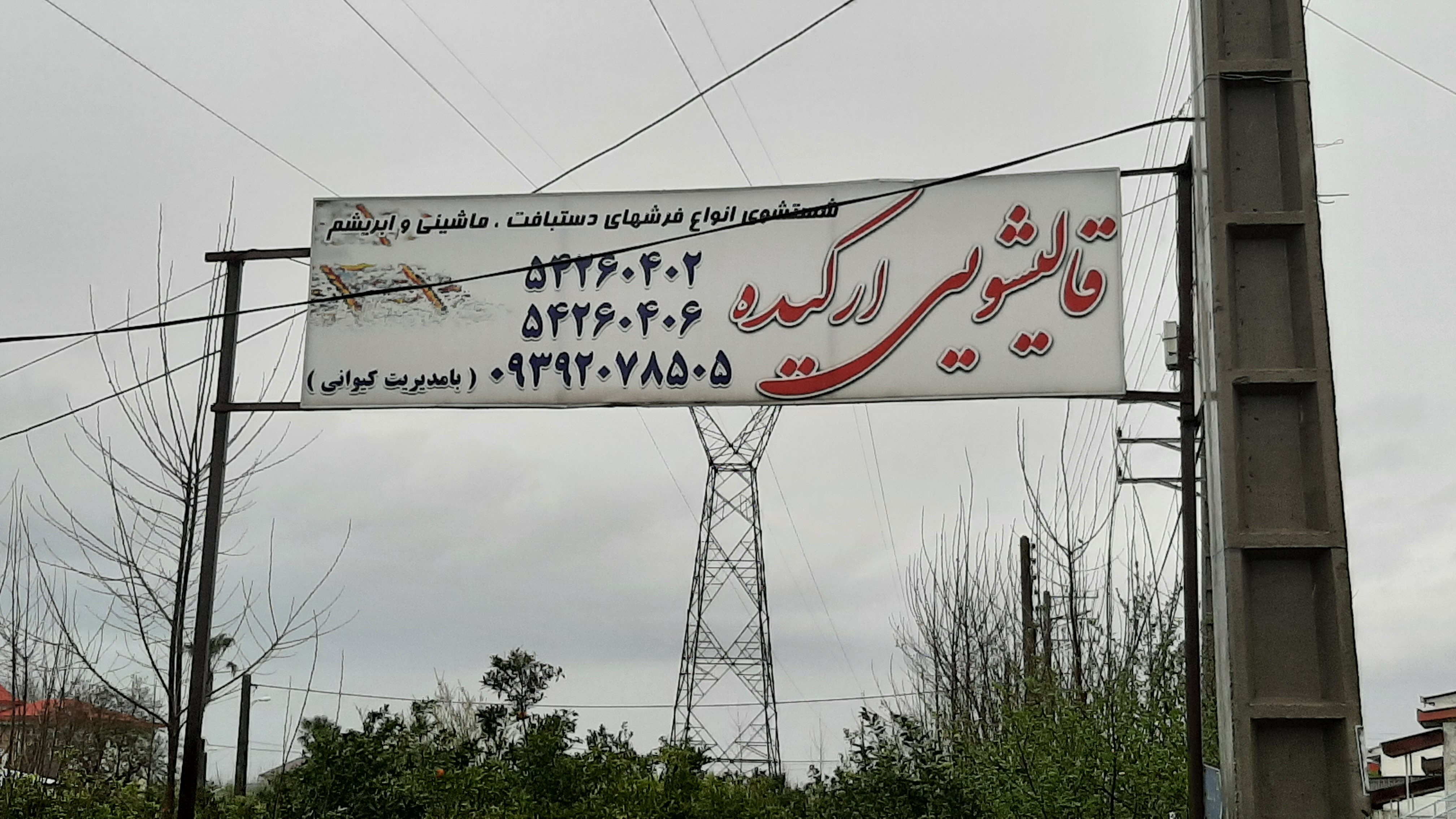 قالیشویی ارکیده