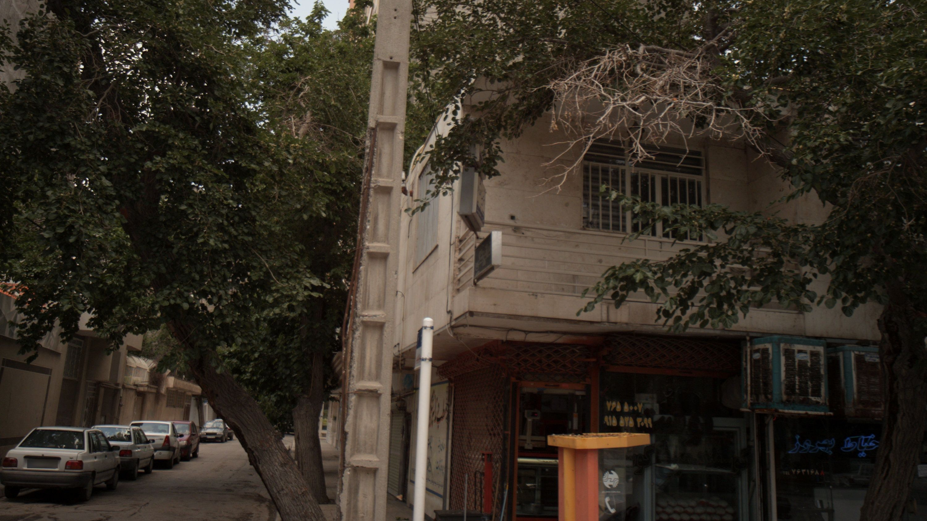 مرغ فروشی