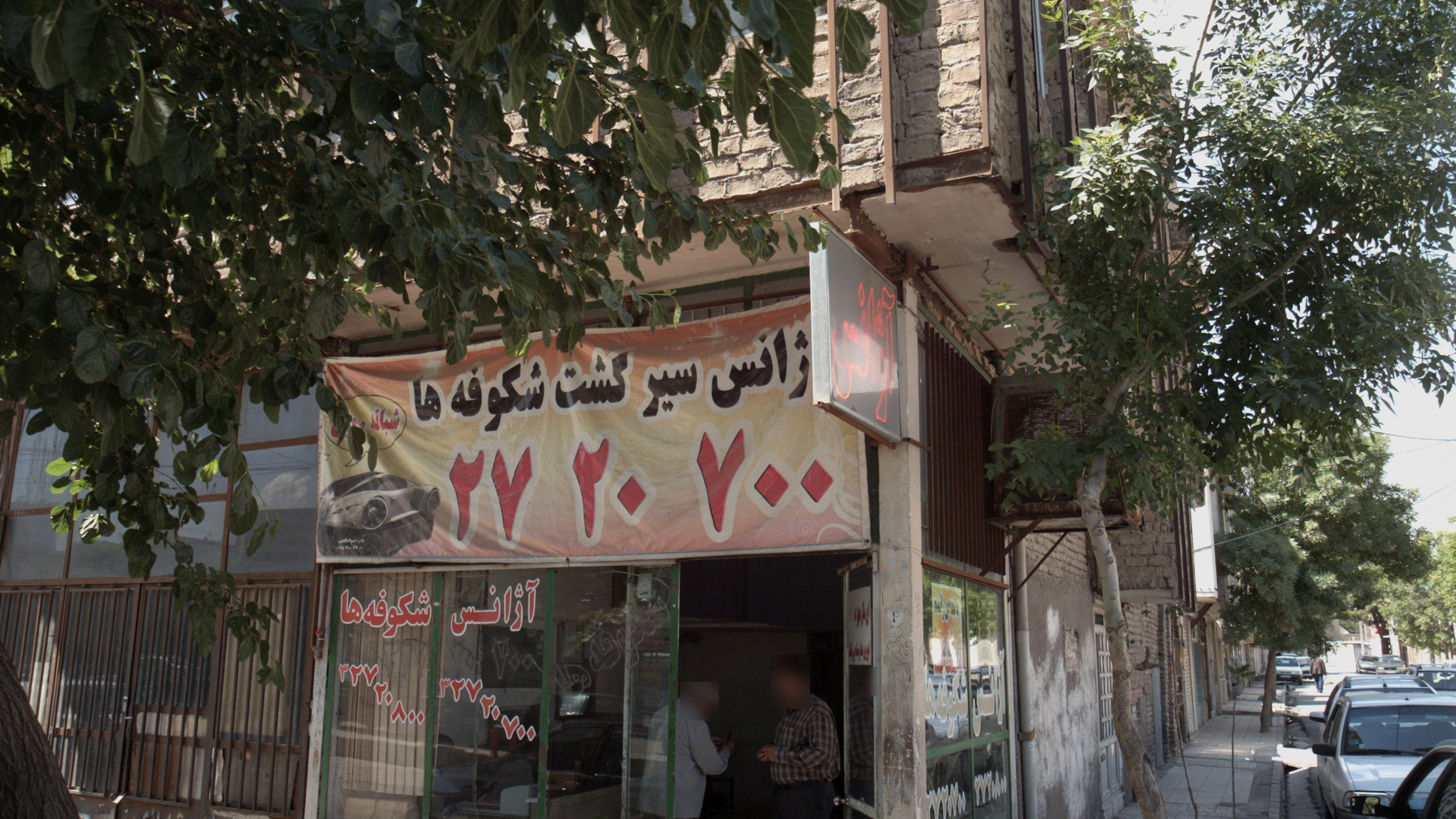 آژانس سیر گشت شکوفه ها