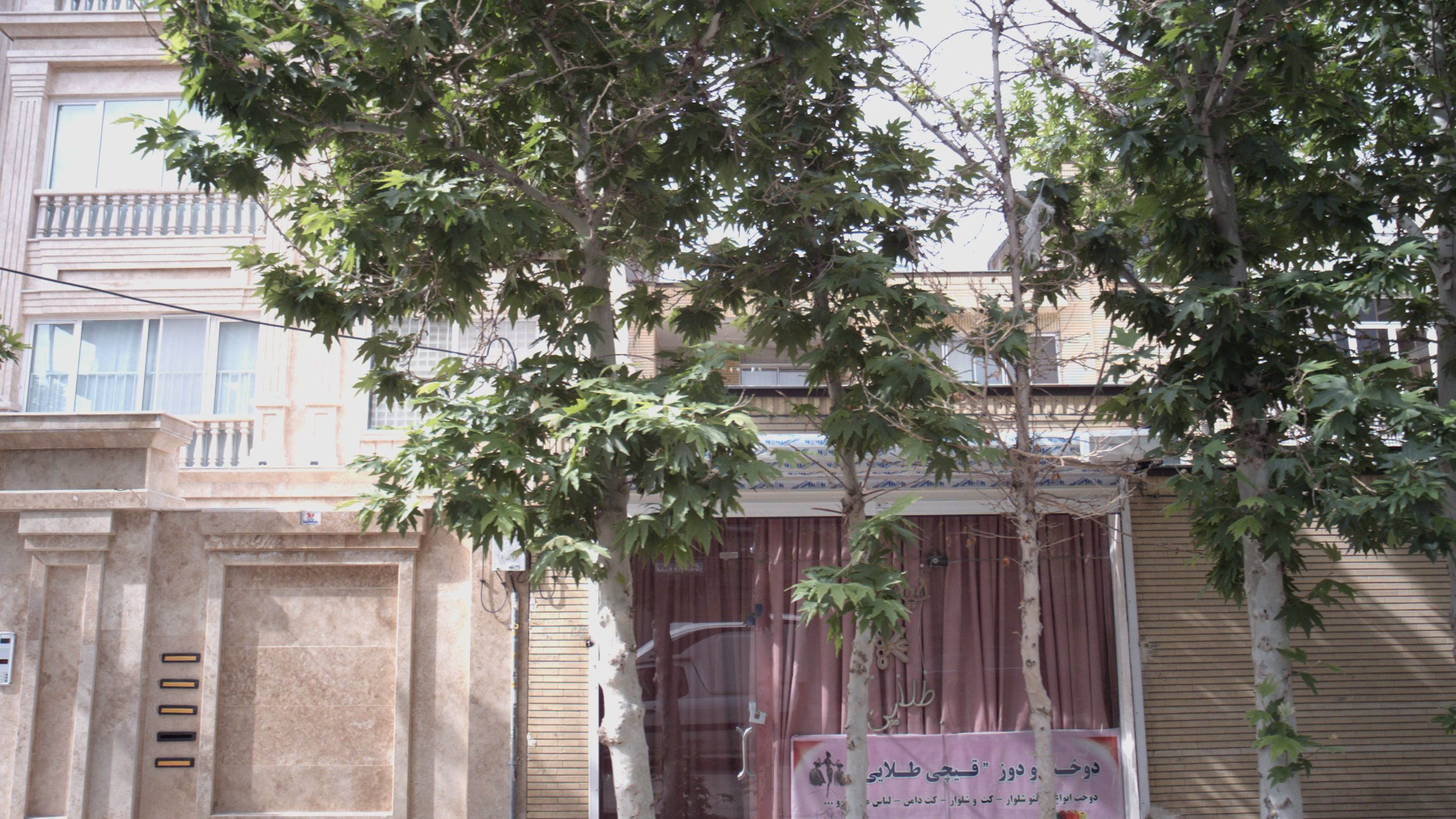 دوخت و دوز قیچی طلایی
