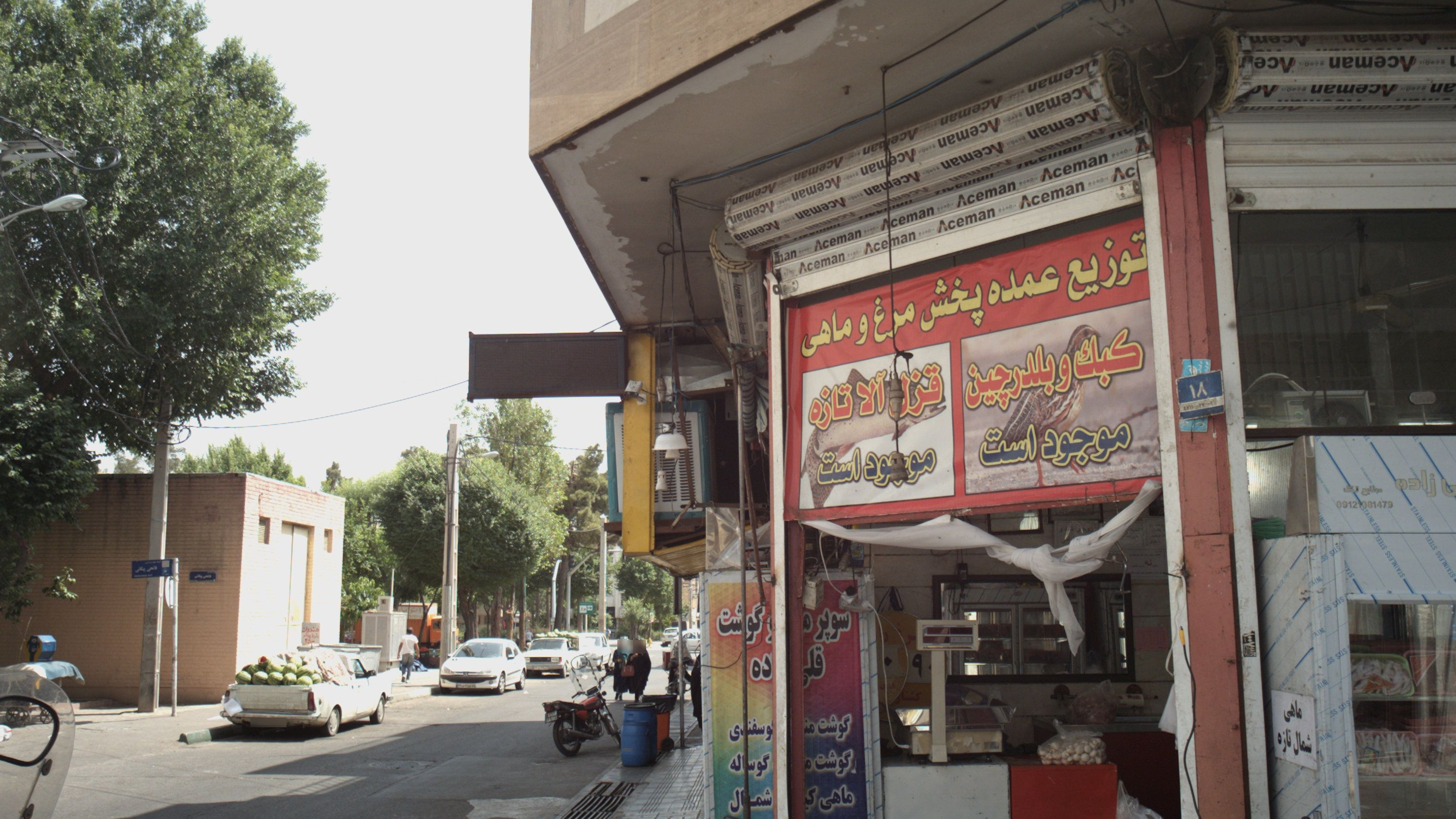 سوپر پروتئین قلی زاده