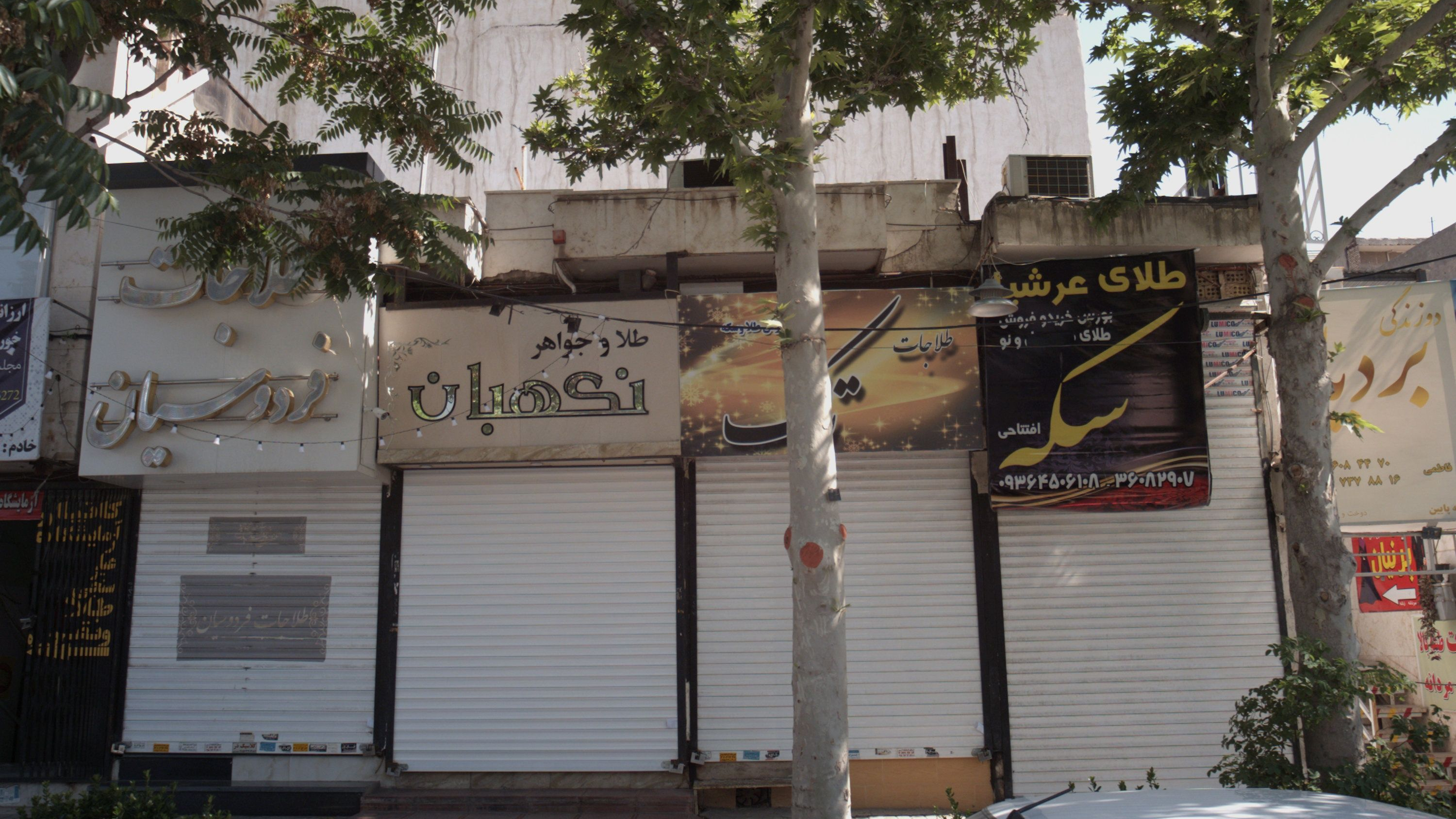طلای عرشیا
