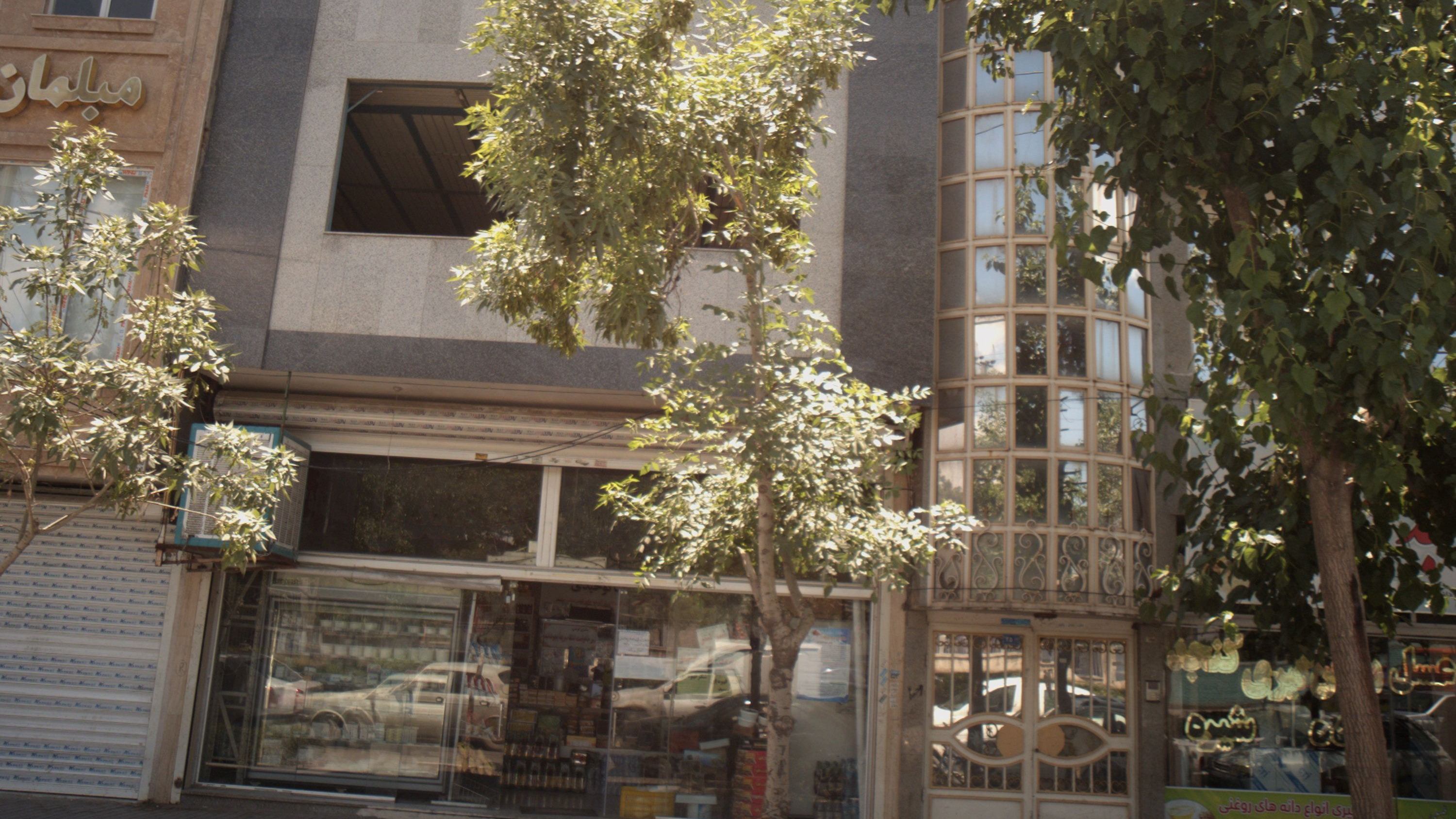 لبنیات توحیدی