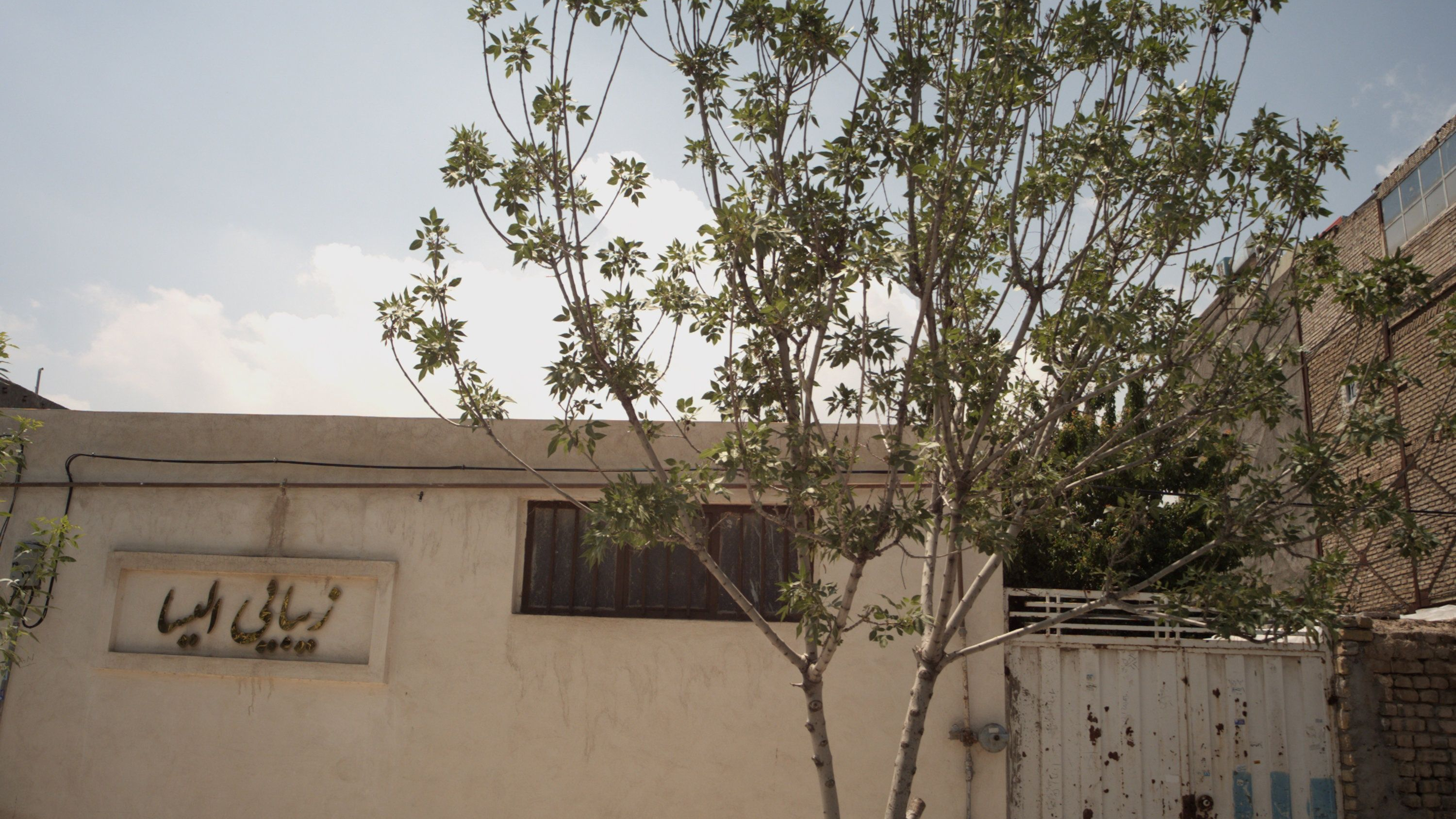 زیبایی الیسا